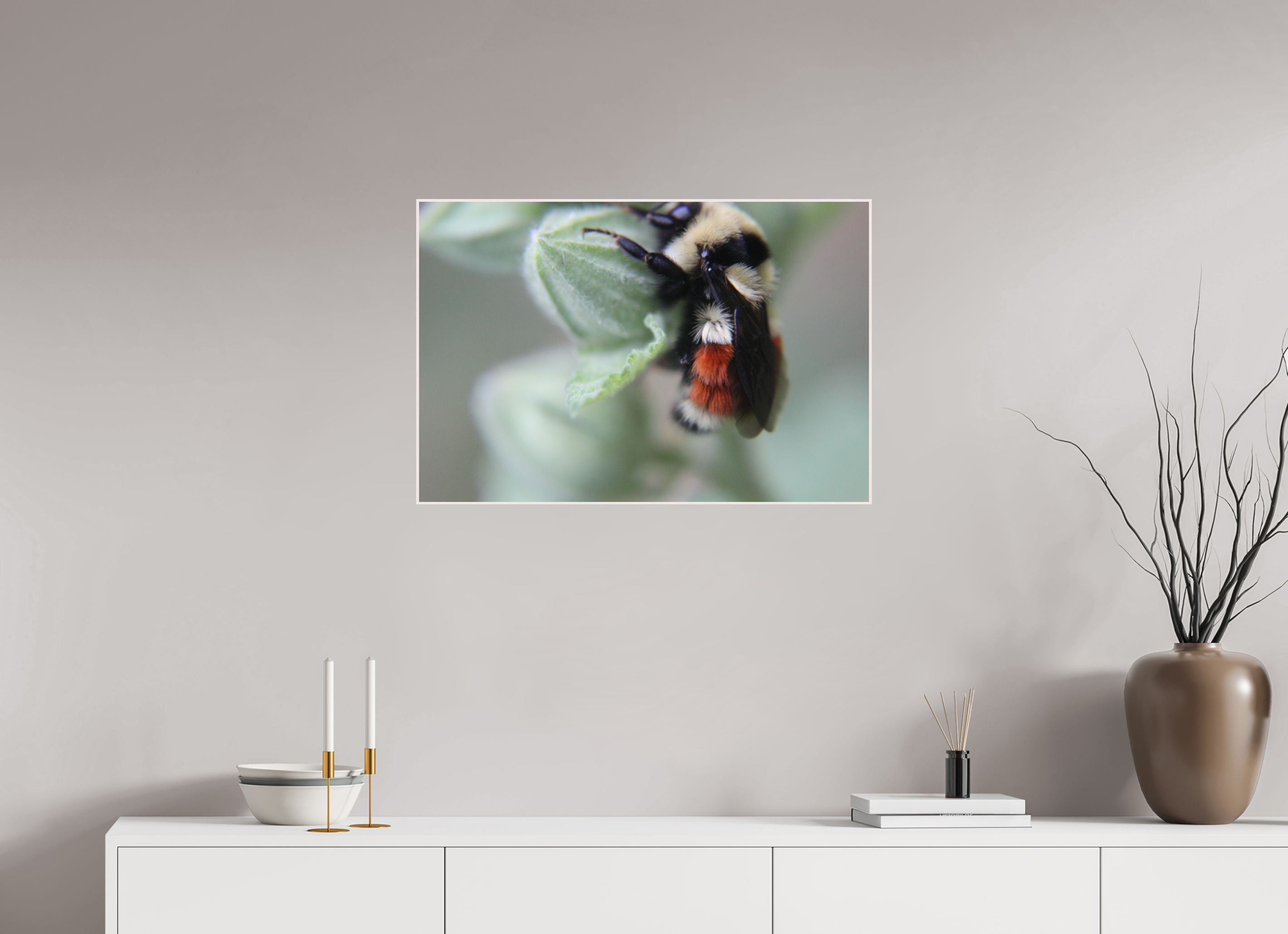 30 x 20″, Wood ArtBox with Acrylic The Busy One: Bumblebee Macro Fine Art Print