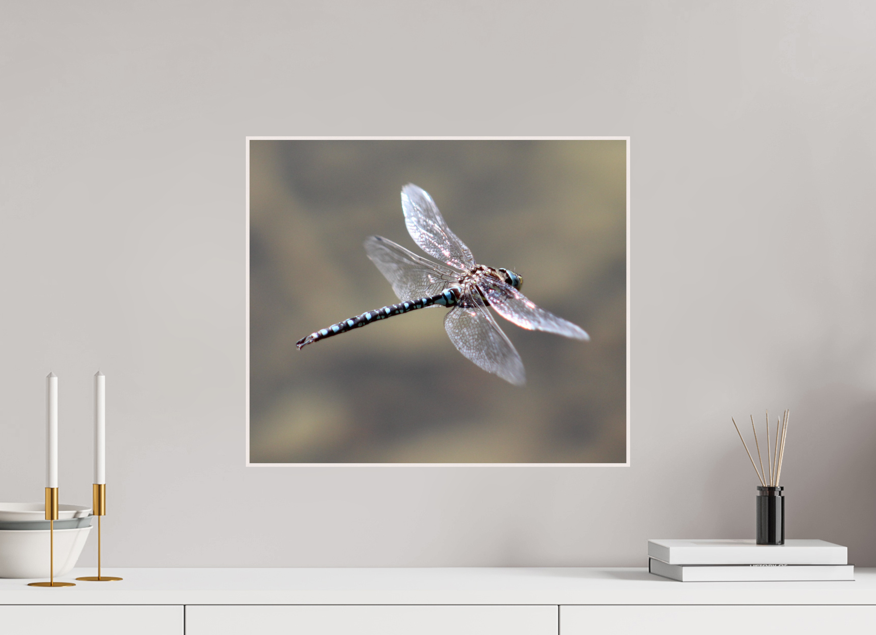 18.6 x 16″, Wood ArtBox with Acrylic Suspended: Blue Dragonfly in Flight