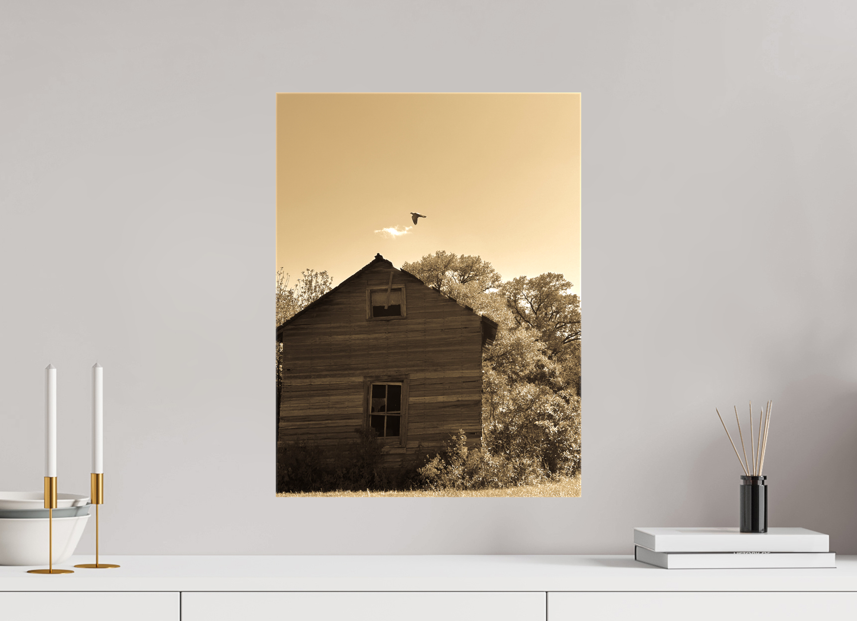 15 x 20″, Gloss Canvas Taking Flight: Abandoned Homestead with Bird Fine Art Print
