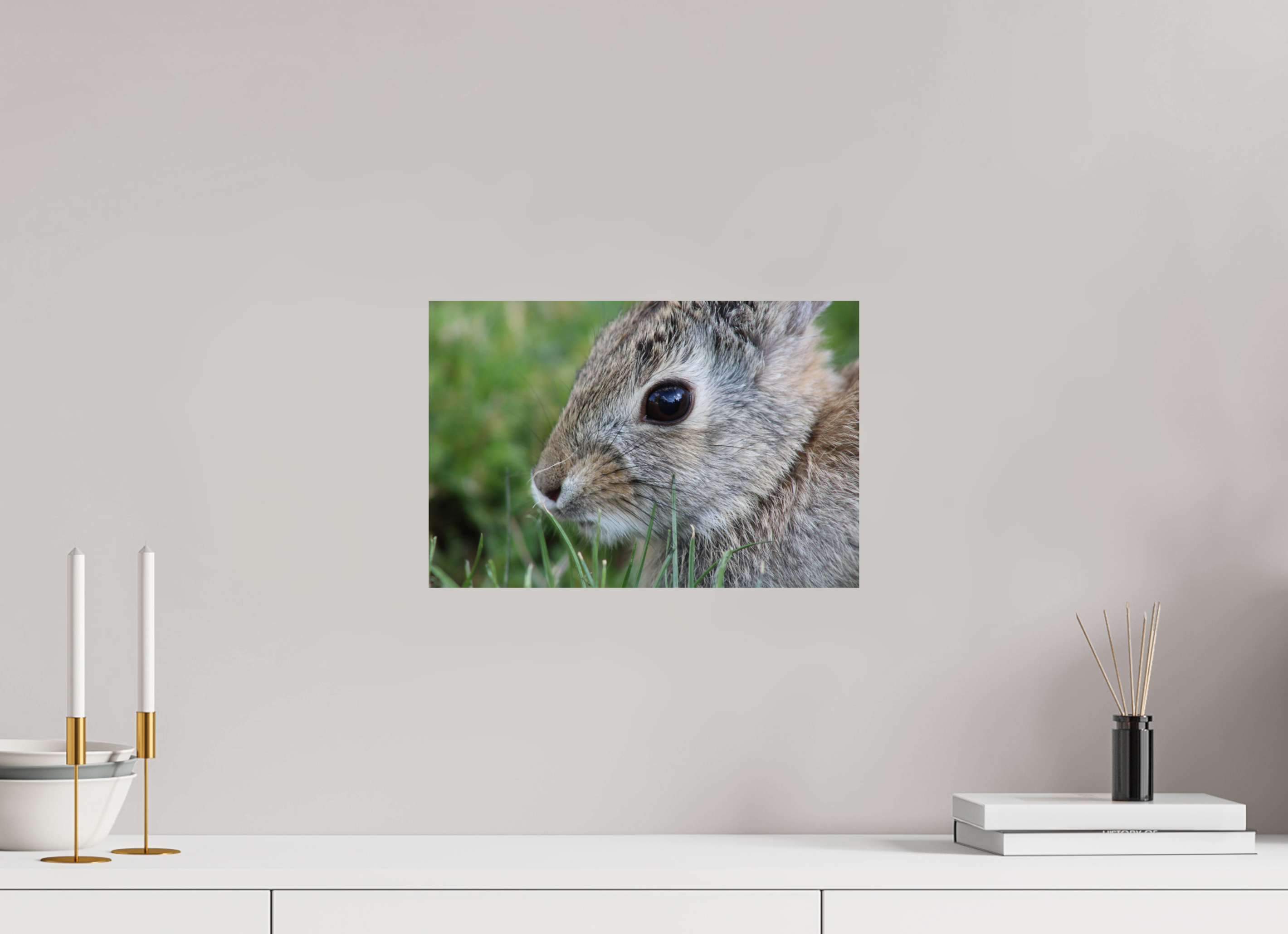 15 x 10″, Photo Print On Fuji Crystal DP II Eye to Eye: Cottontail Rabbit Portrait