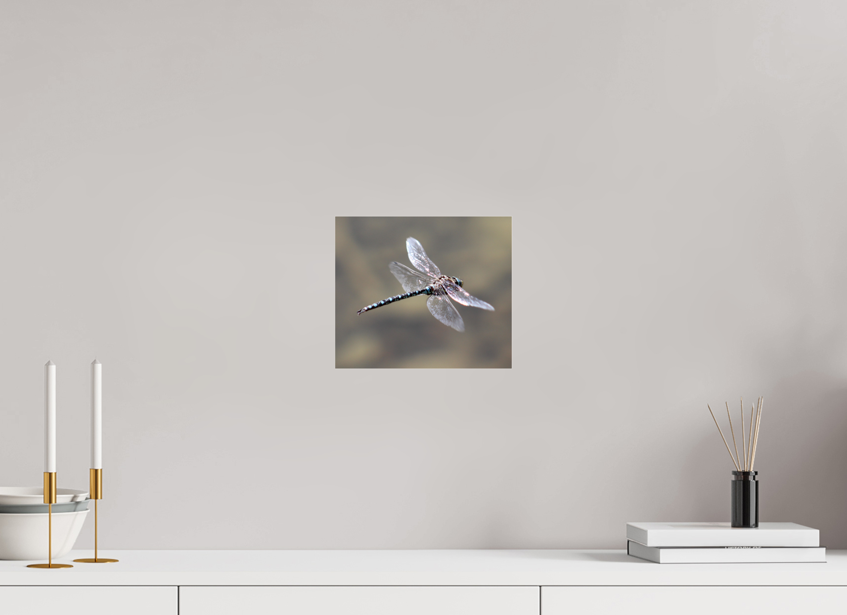 9.3 x 8″, Photo Print Under Acrylic Glass Suspended: Blue Dragonfly in Flight