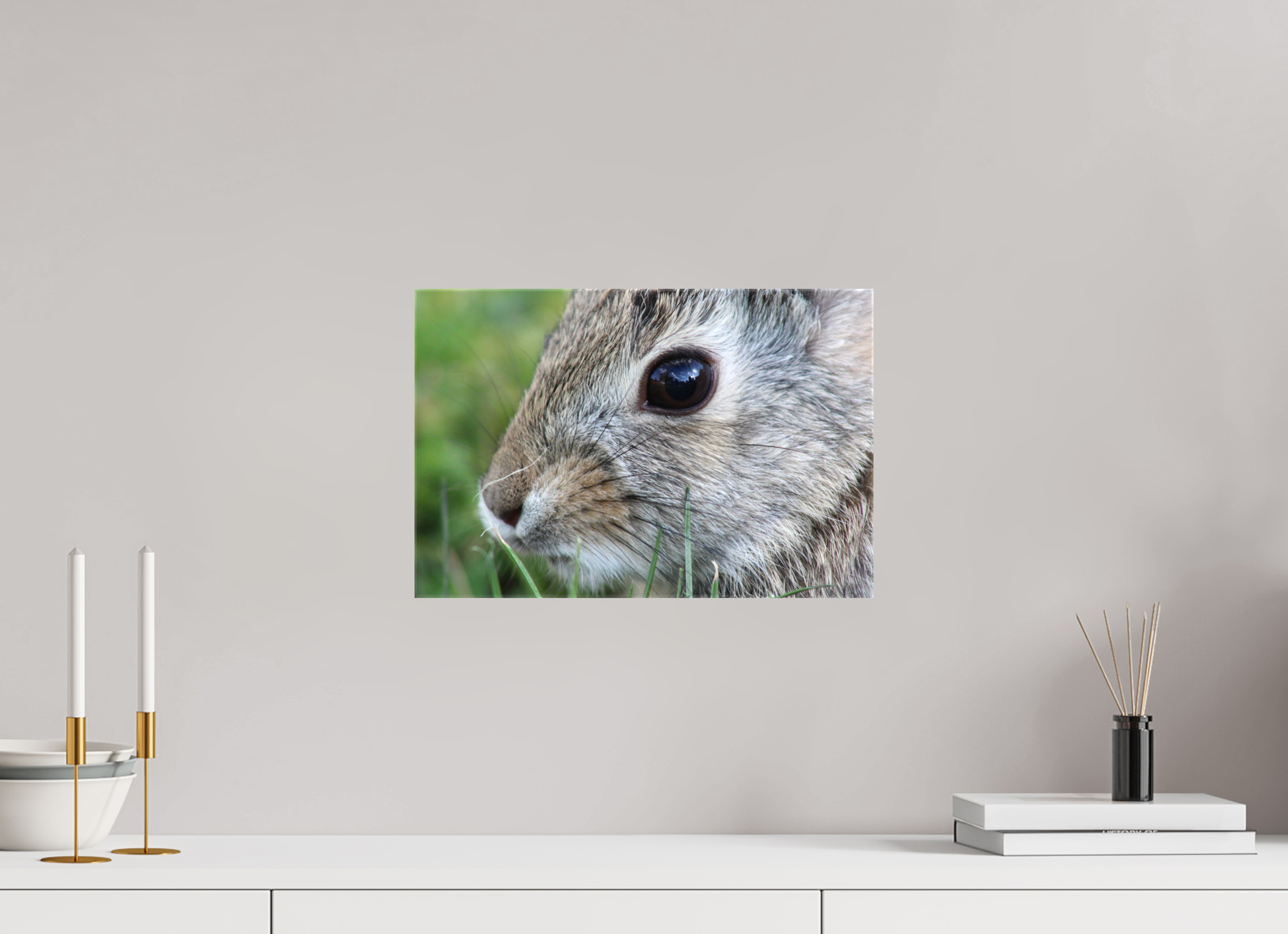 15 x 10″, Gloss Canvas Eye to Eye: Cottontail Rabbit Portrait