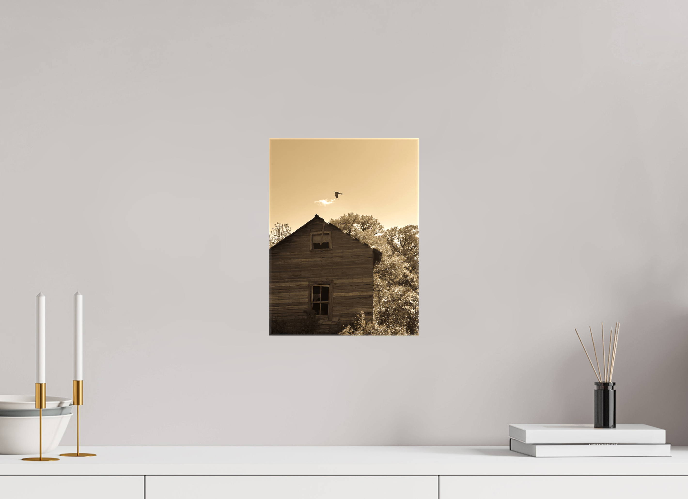9 x 12″, Gloss Canvas Taking Flight: Abandoned Homestead with Bird Fine Art Print