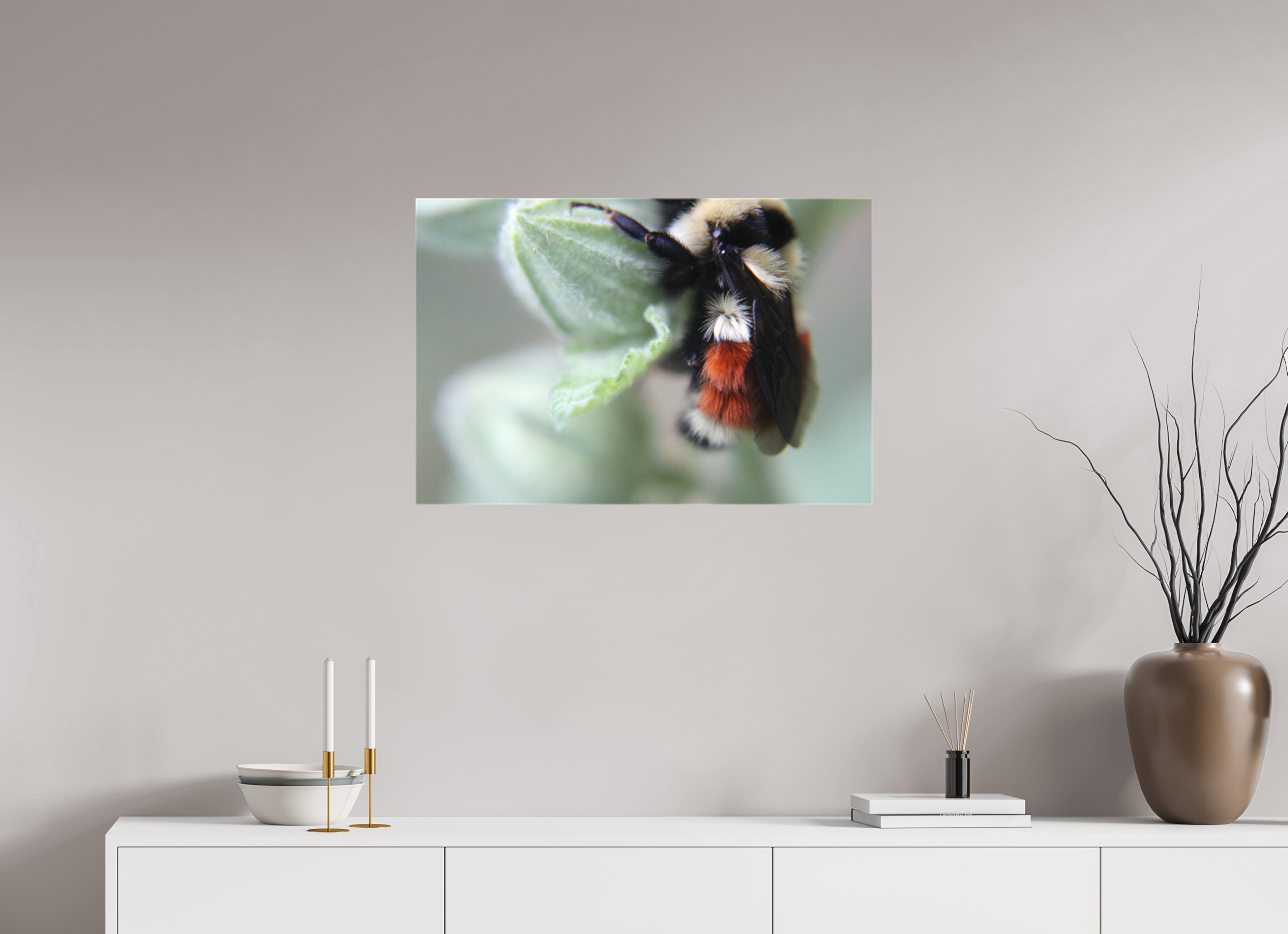 30 x 20″, Gloss Canvas The Busy One: Bumblebee Macro Fine Art Print