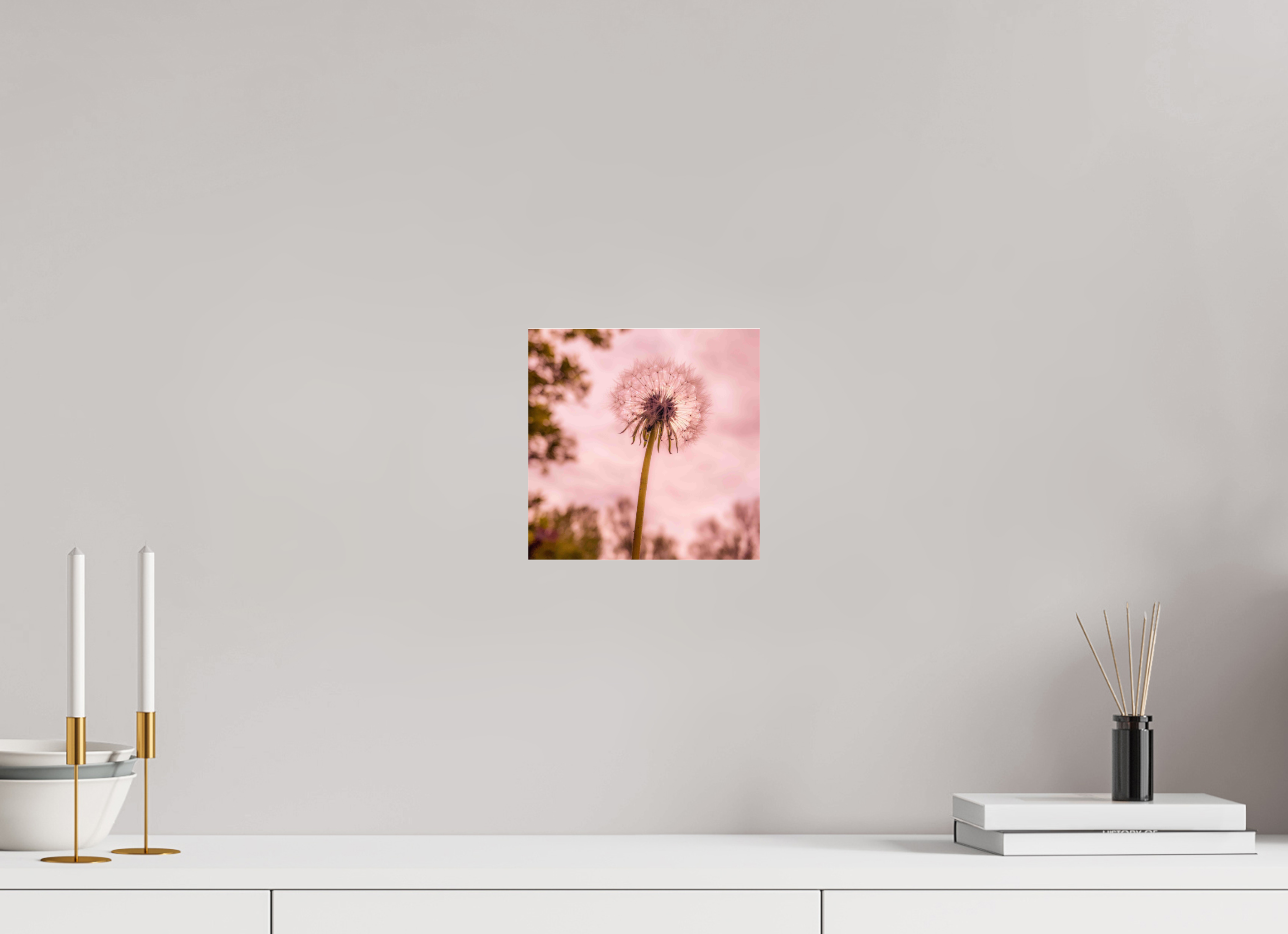 8 x 8″, Photo Print Under Acrylic Glass Make a Wish: Dandelion at Dusk