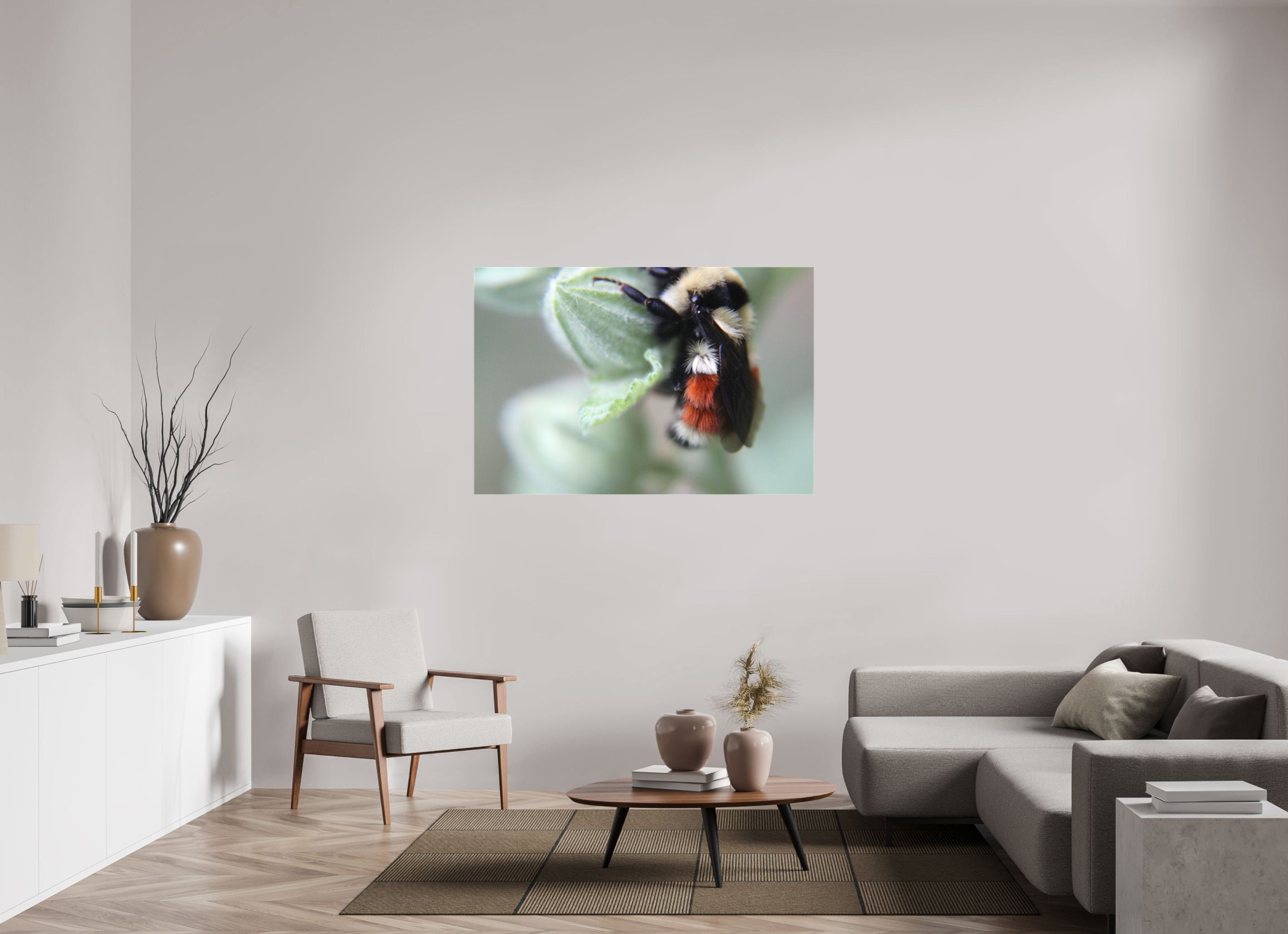 54 x 36″, Gloss Canvas The Busy One: Bumblebee Macro Fine Art Print