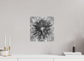 12 x 12.4″, Gloss Canvas Geometry of a Wish: Dandelion Clock Black and White