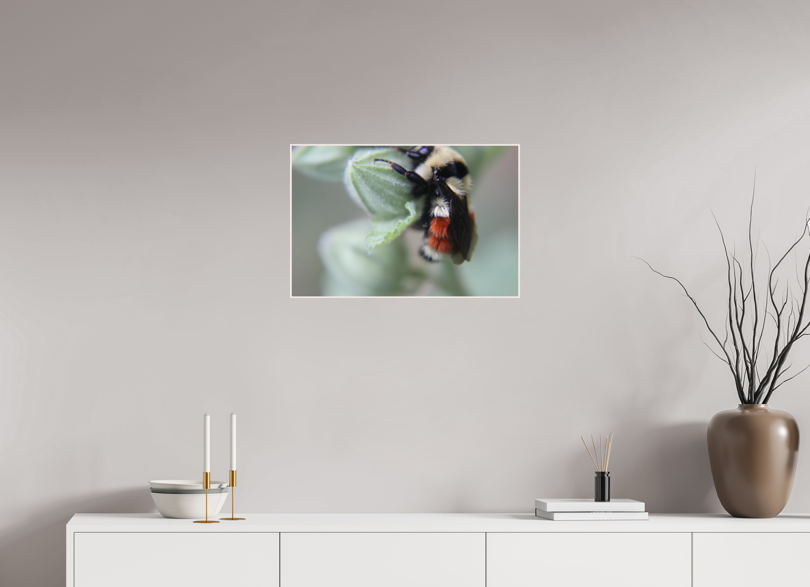 24 x 16″, Wood ArtBox with Acrylic The Busy One: Bumblebee Macro Fine Art Print