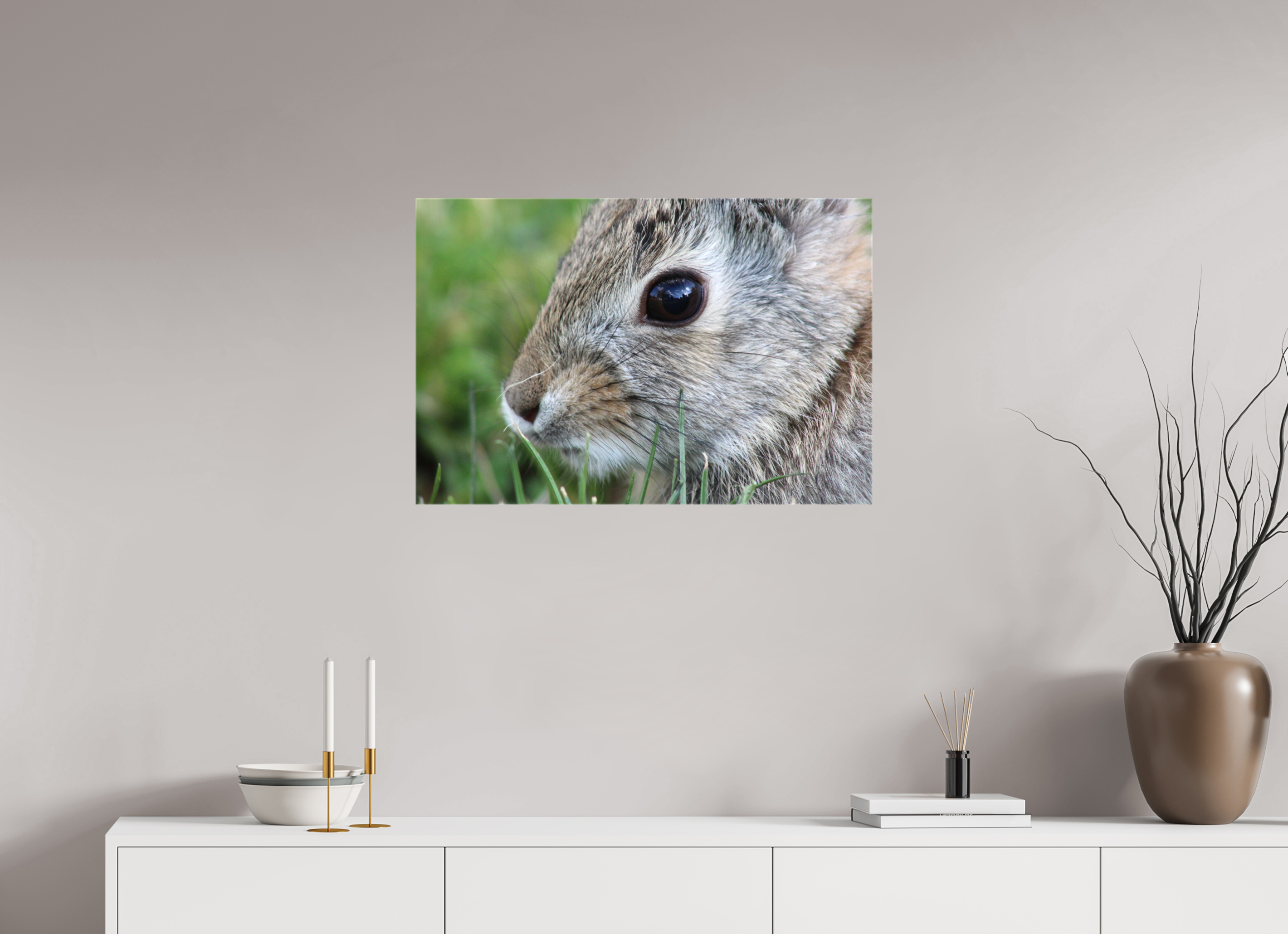 30 x 20″, Gloss Canvas Eye to Eye: Cottontail Rabbit Portrait