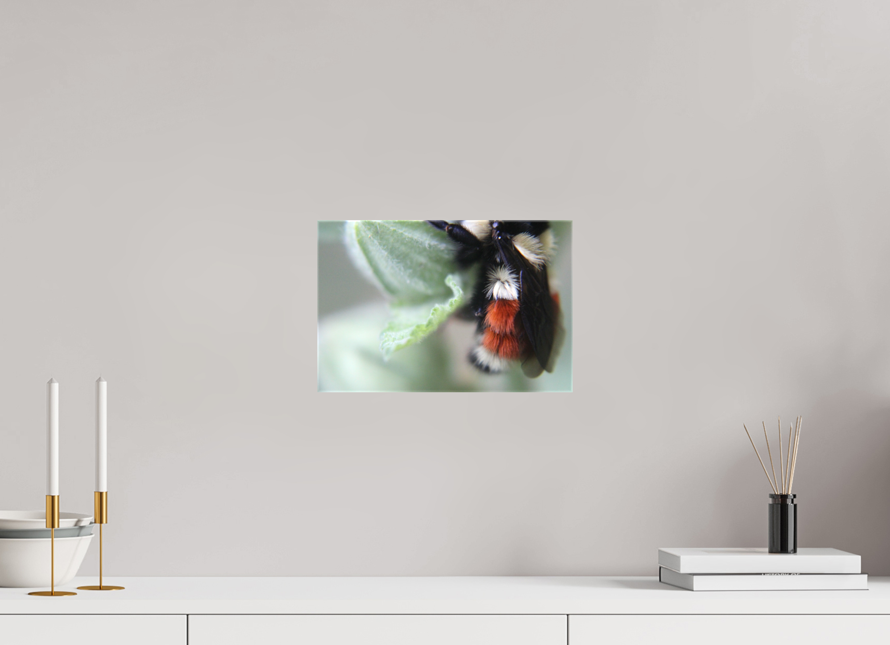 12 x 8″, Gloss Canvas The Busy One: Bumblebee Macro Fine Art Print