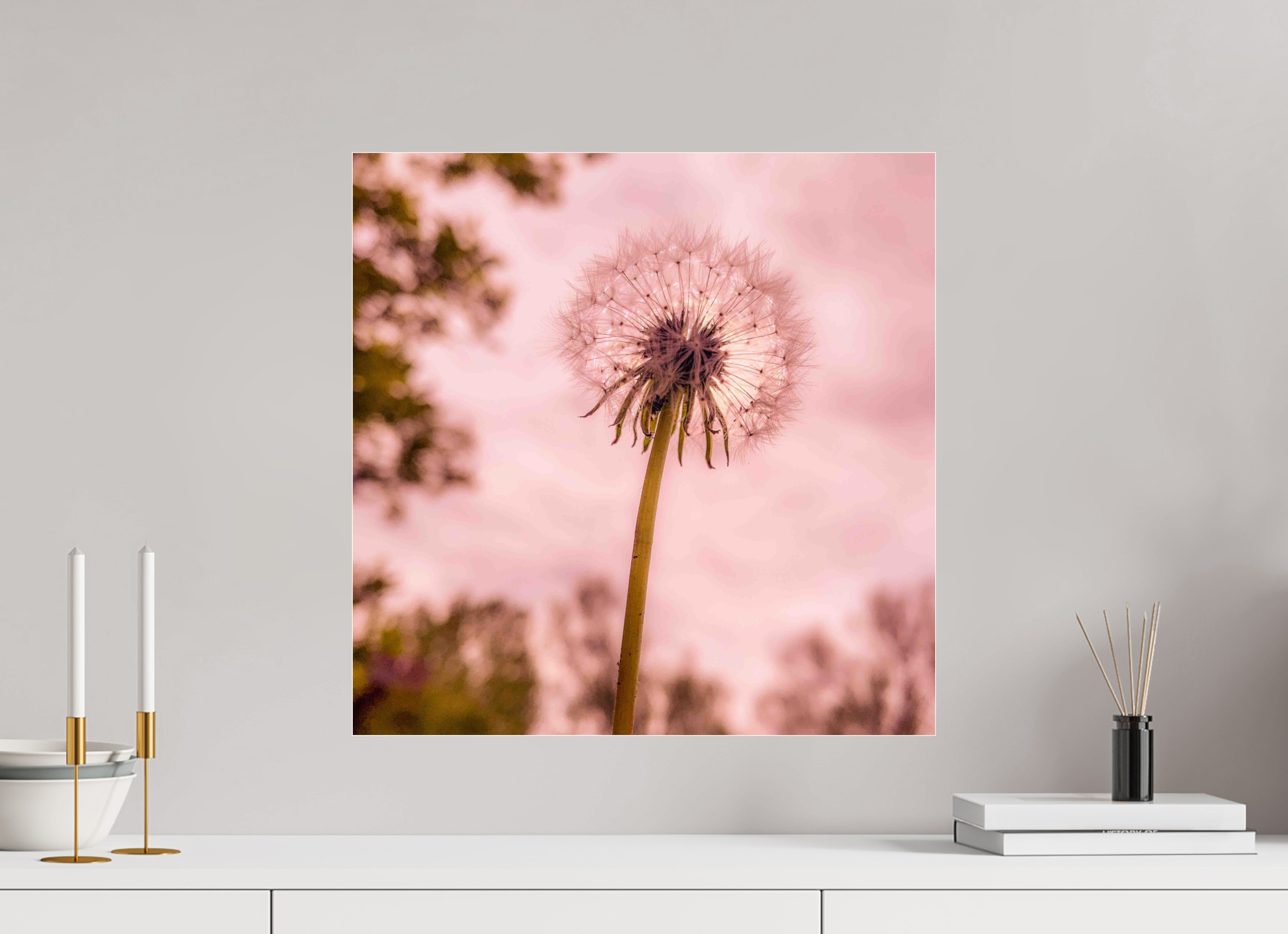 20 x 20″, Photo Print Under Acrylic Glass Make a Wish: Dandelion at Dusk