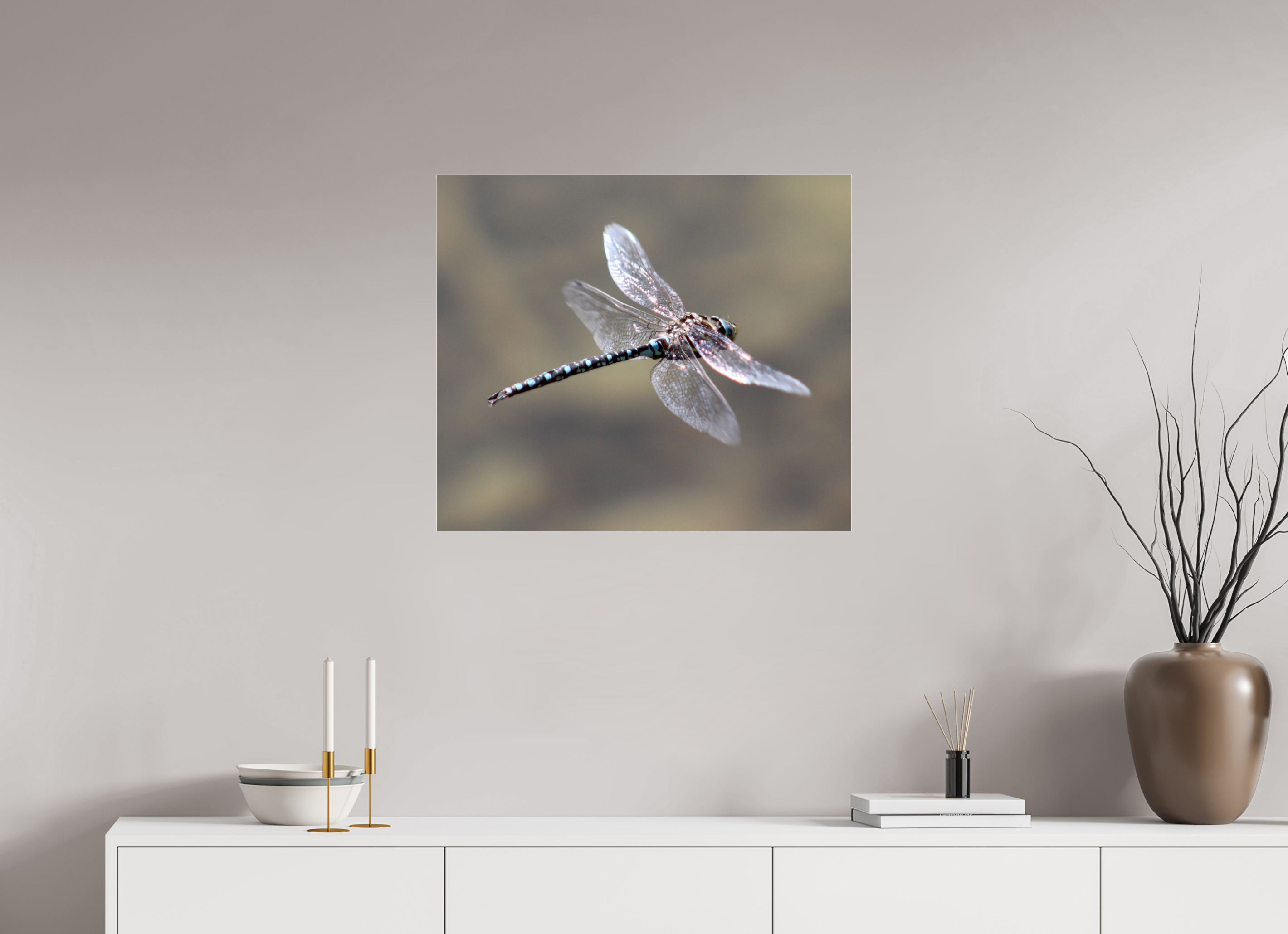 27.9 x 24″, Photo Print Under Acrylic Glass Suspended: Blue Dragonfly in Flight
