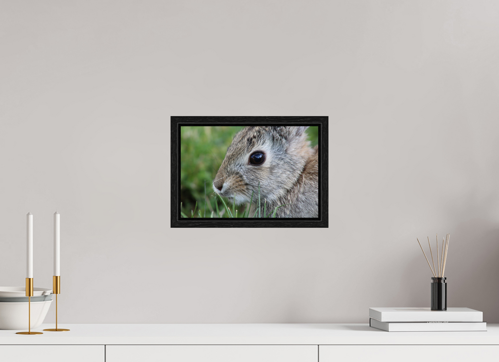 12 x 8″, Floater Frame Eye to Eye: Cottontail Rabbit Portrait