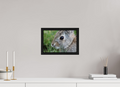 12 x 8″, Floater Frame Eye to Eye: Cottontail Rabbit Portrait
