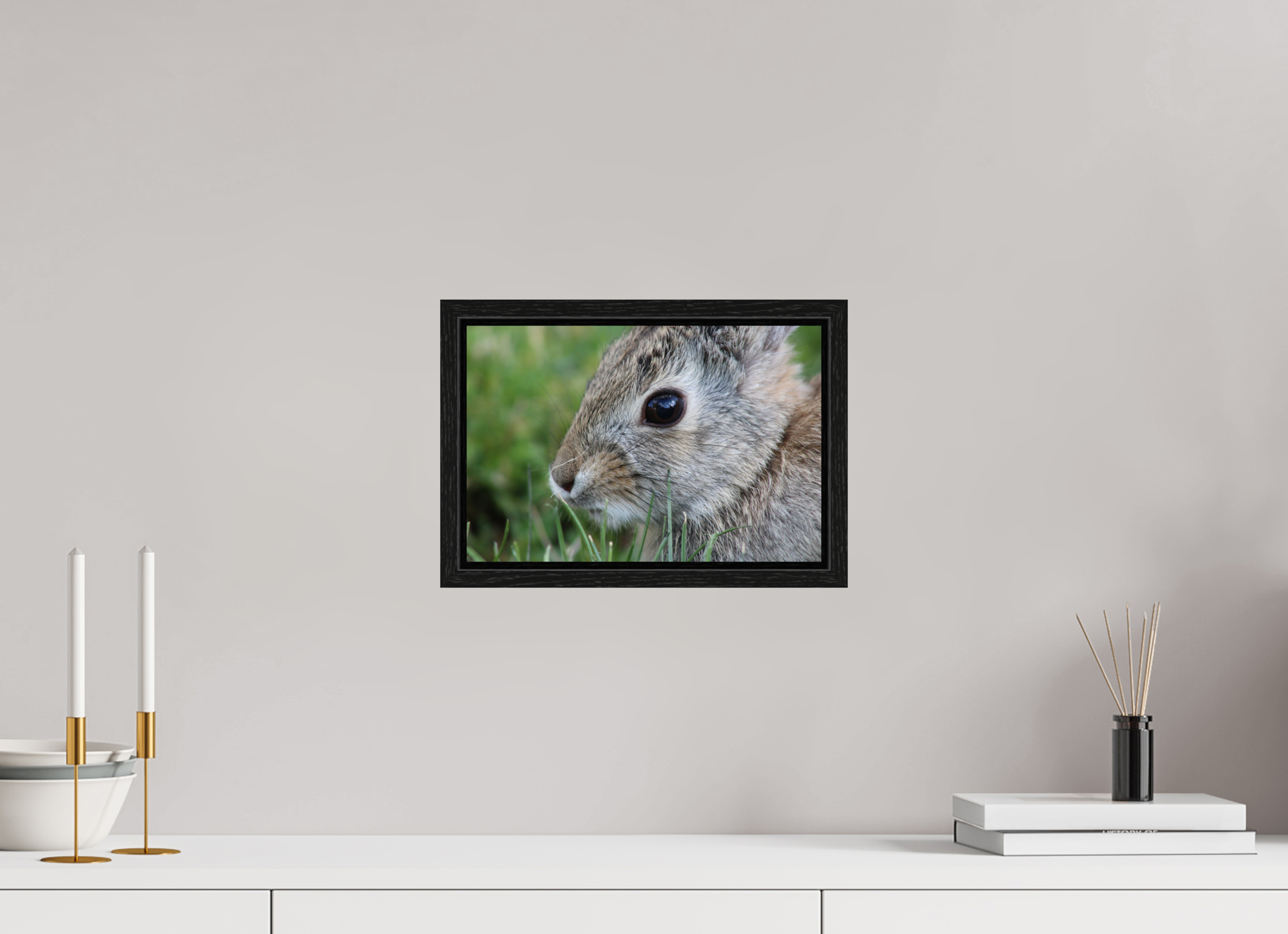 12 x 8″, Floater Frame Eye to Eye: Cottontail Rabbit Portrait