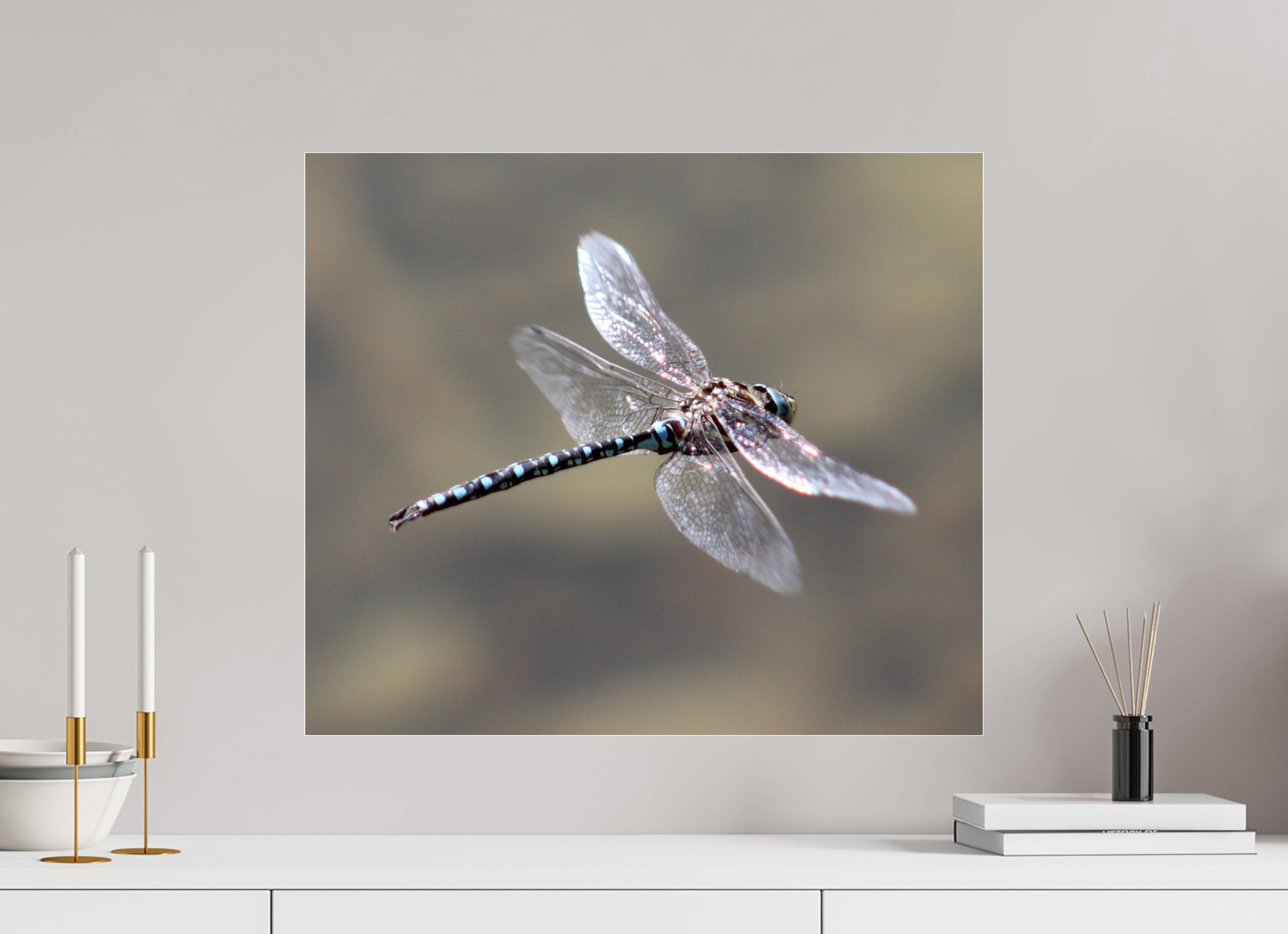 23.3 x 20″, Photo Print Under Acrylic Glass Suspended: Blue Dragonfly in Flight