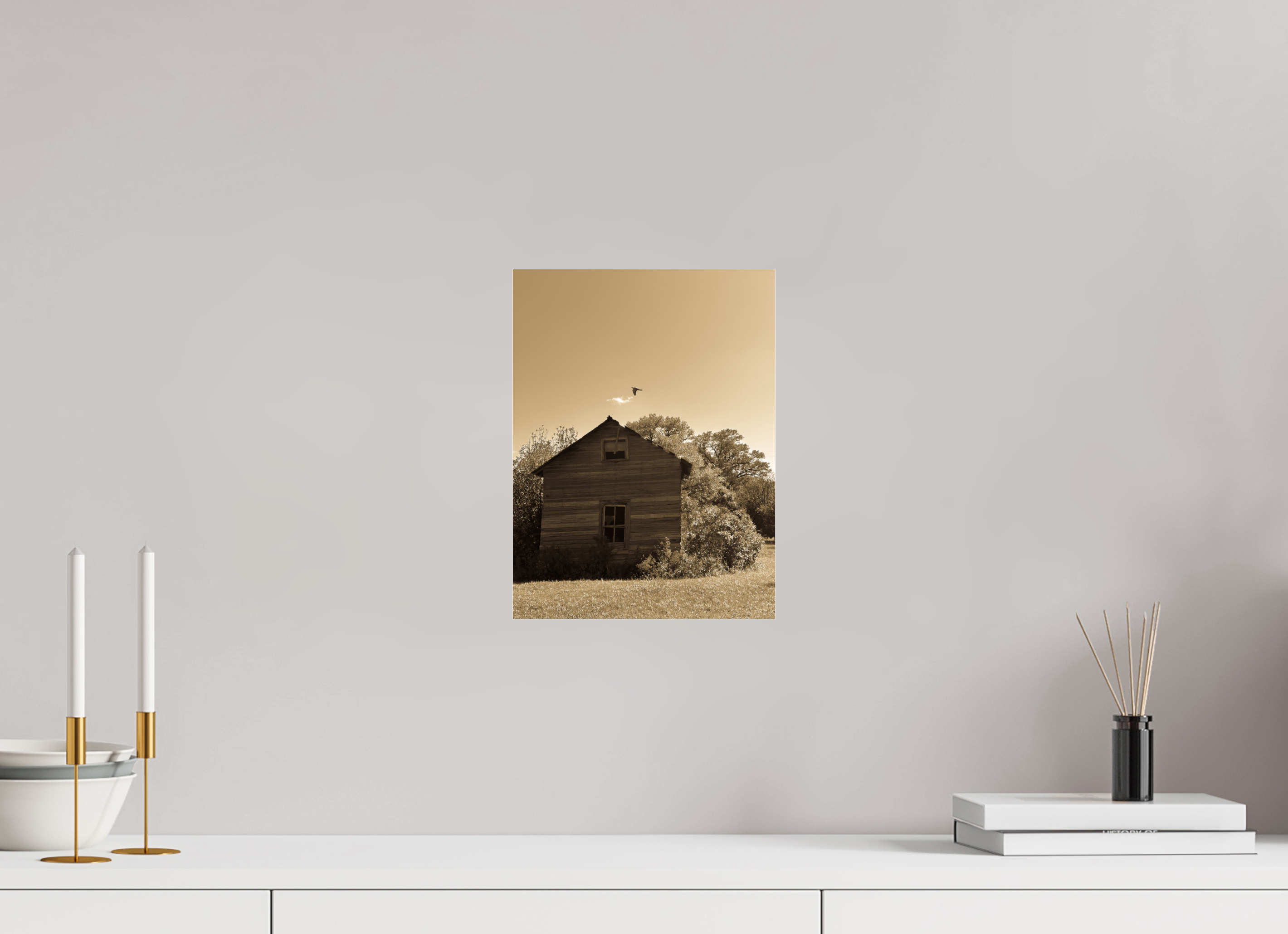 9 x 12″, Photo Print Under Acrylic Glass Taking Flight: Abandoned Homestead with Bird Fine Art Print