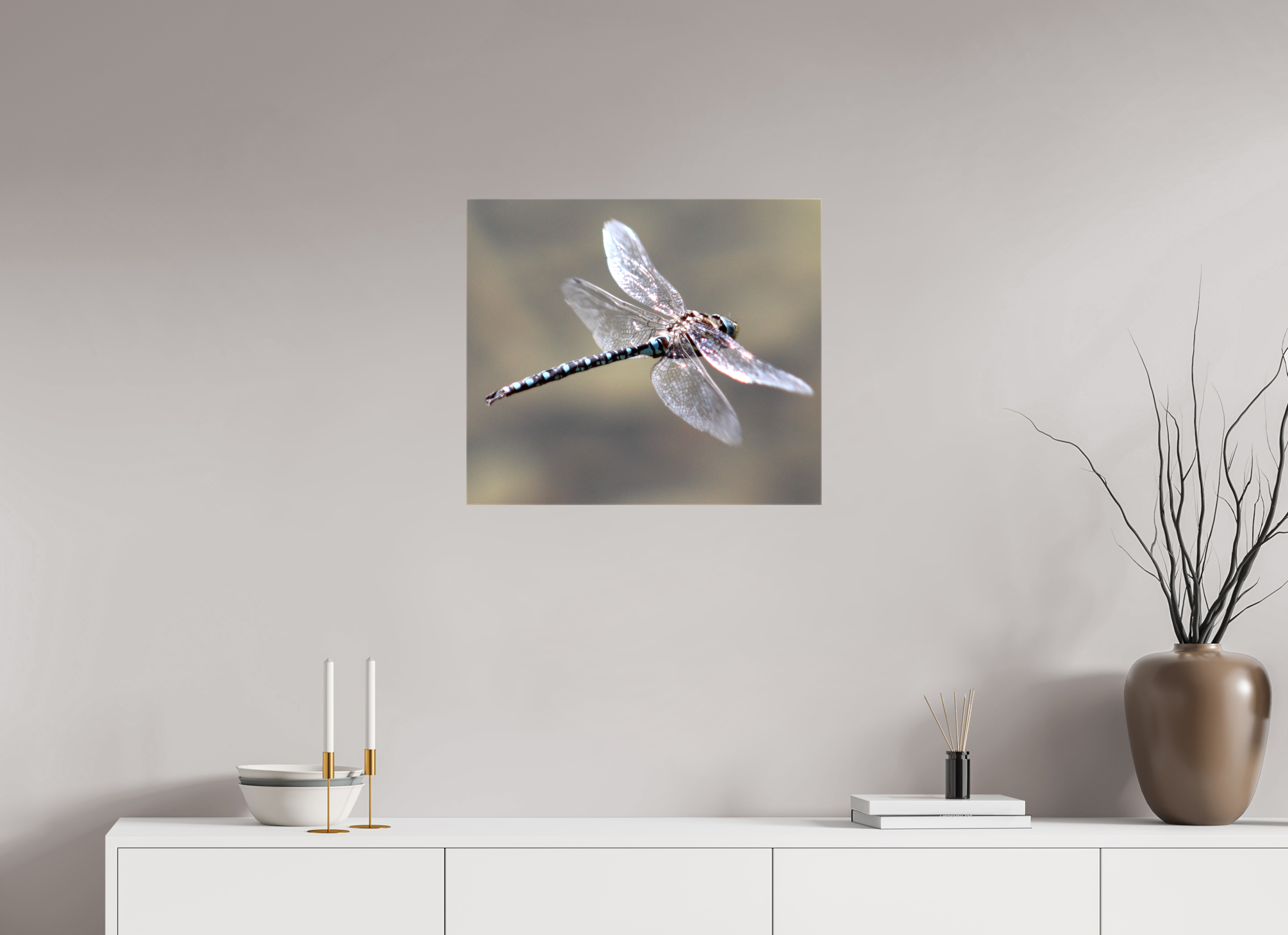 23.3 x 20″, Gloss Canvas Suspended: Blue Dragonfly in Flight