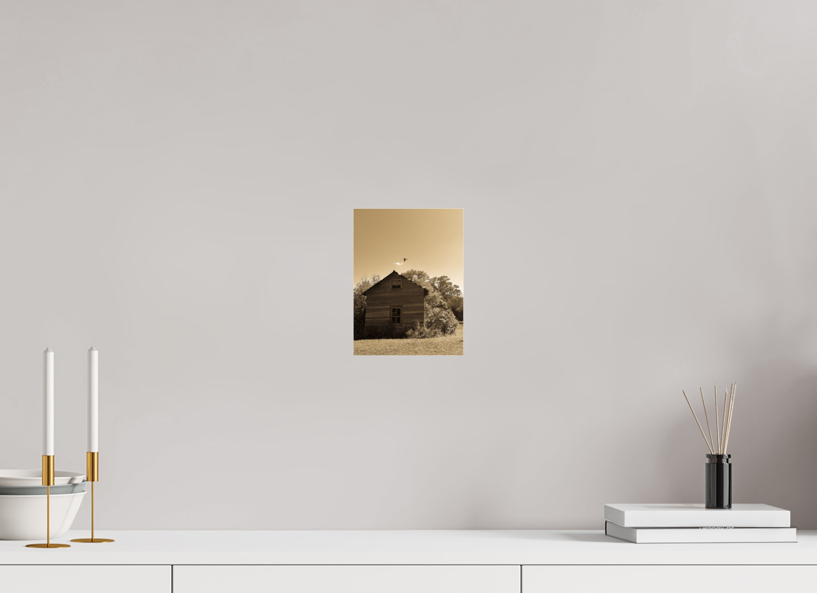 6 x 8″, Photo Print Under Acrylic Glass Taking Flight: Abandoned Homestead with Bird Fine Art Print