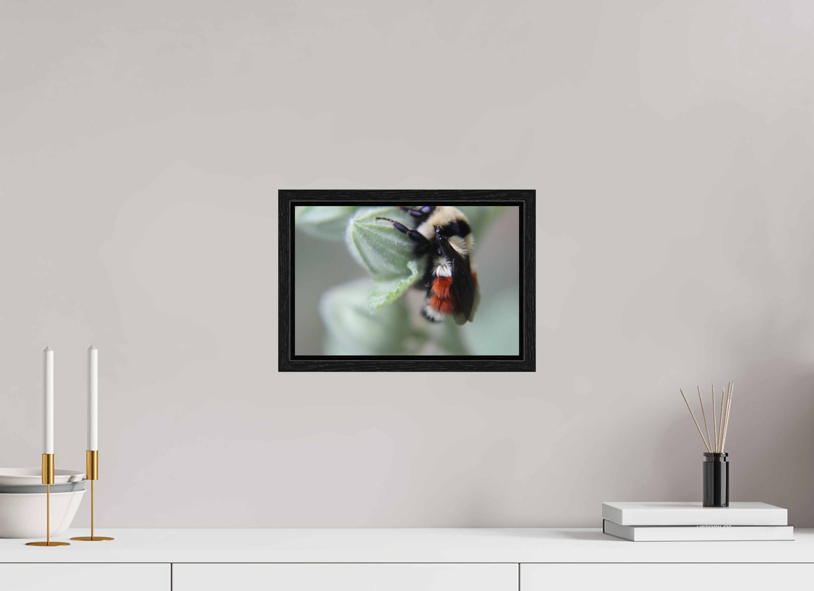 12 x 8″, Floater Frame The Busy One: Bumblebee Macro Fine Art Print