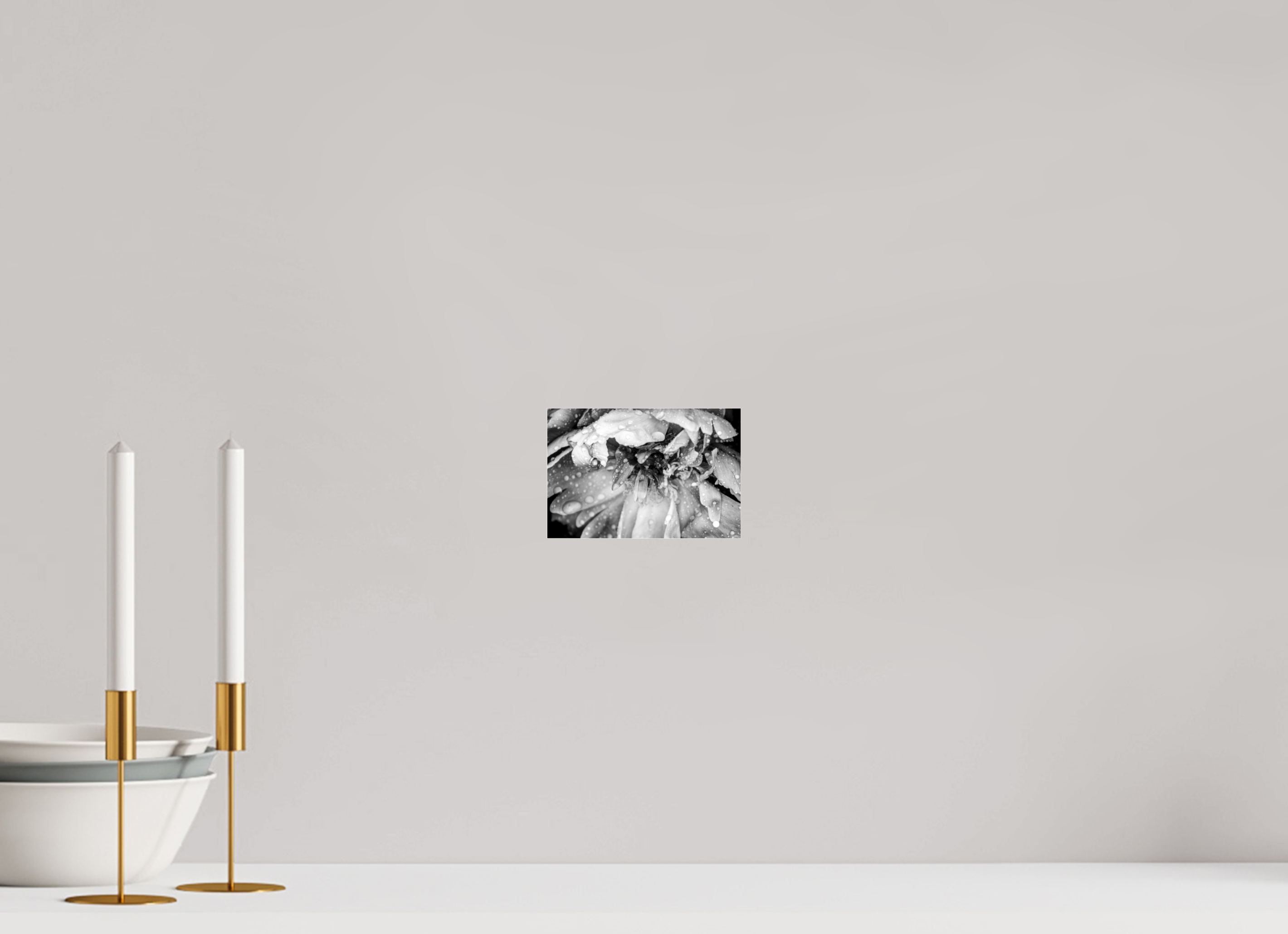 6 x 4″, Photo Print Under Acrylic Glass After the Rain: Black and White Flower Fine Art Print