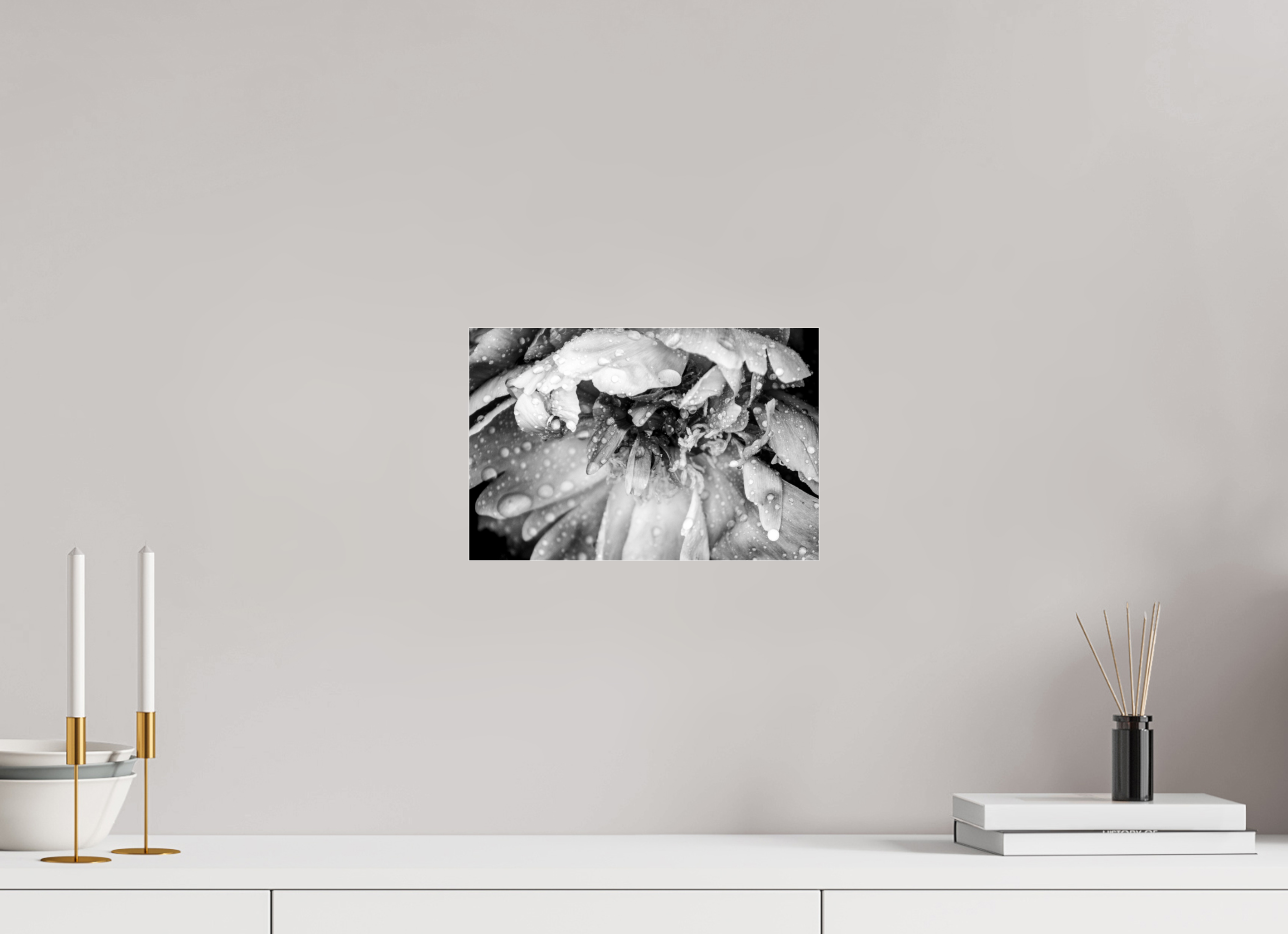 12 x 8″, Photo Print Under Acrylic Glass After the Rain: Black and White Flower Fine Art Print