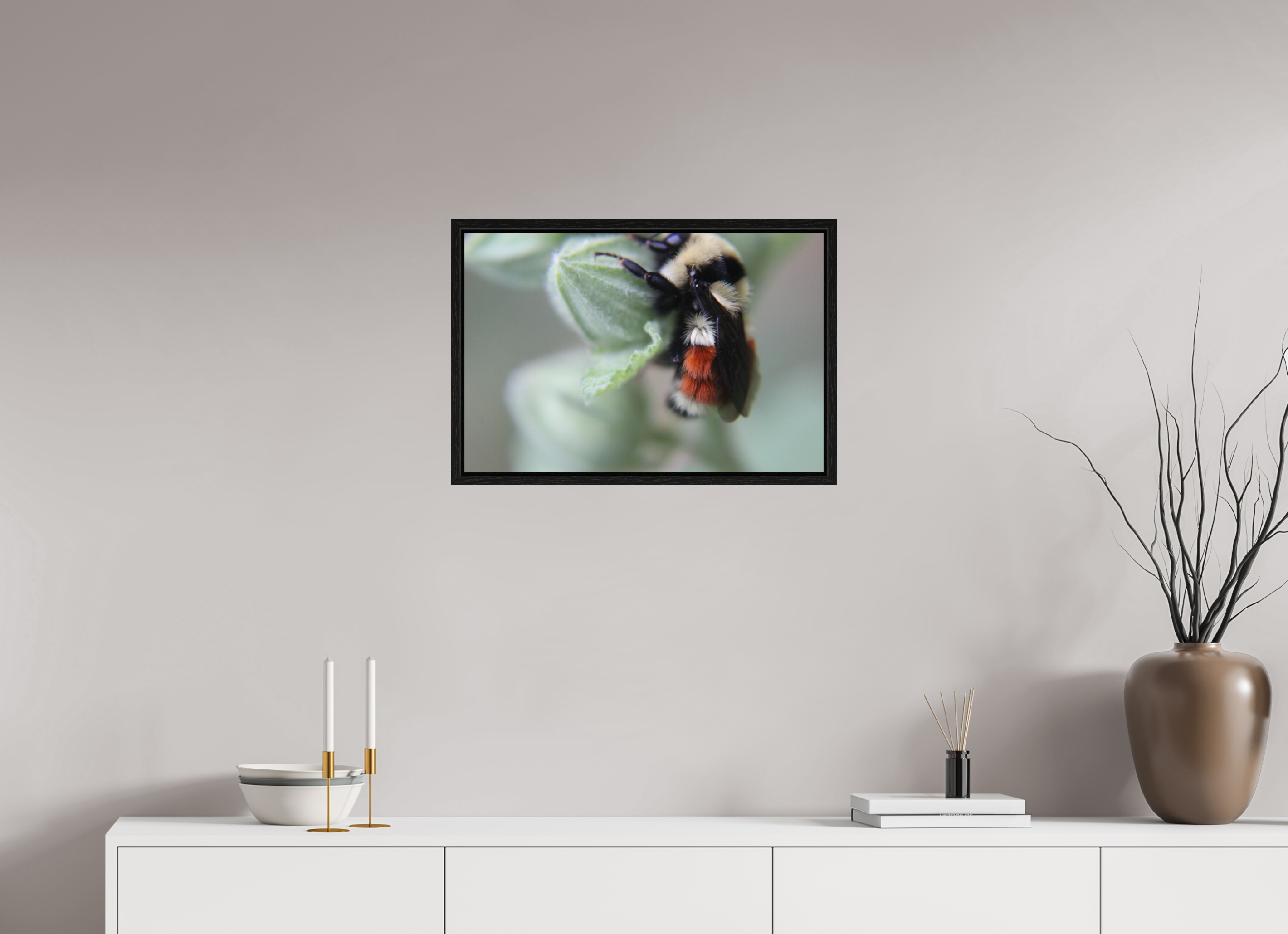 24 x 16″, Floater Frame The Busy One: Bumblebee Macro Fine Art Print