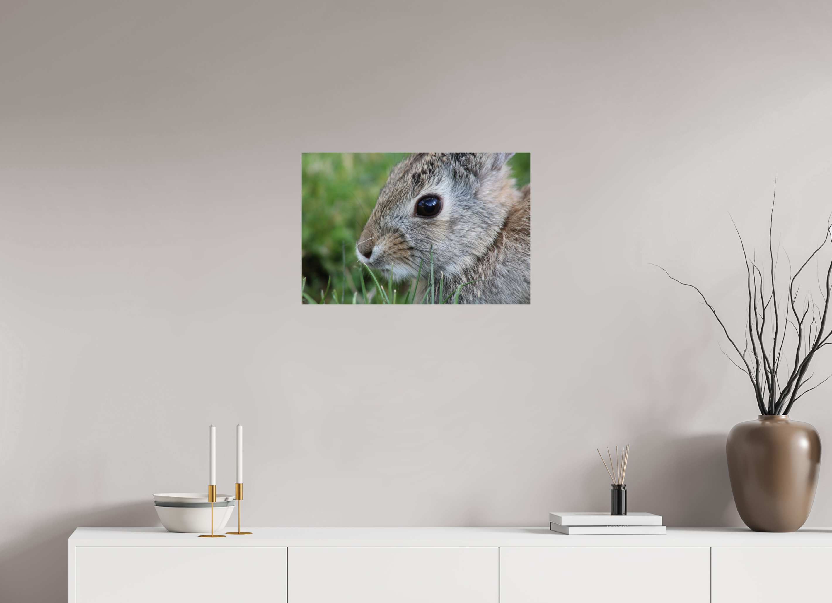 24 x 16″, Photo Print On Fuji Crystal DP II Eye to Eye: Cottontail Rabbit Portrait