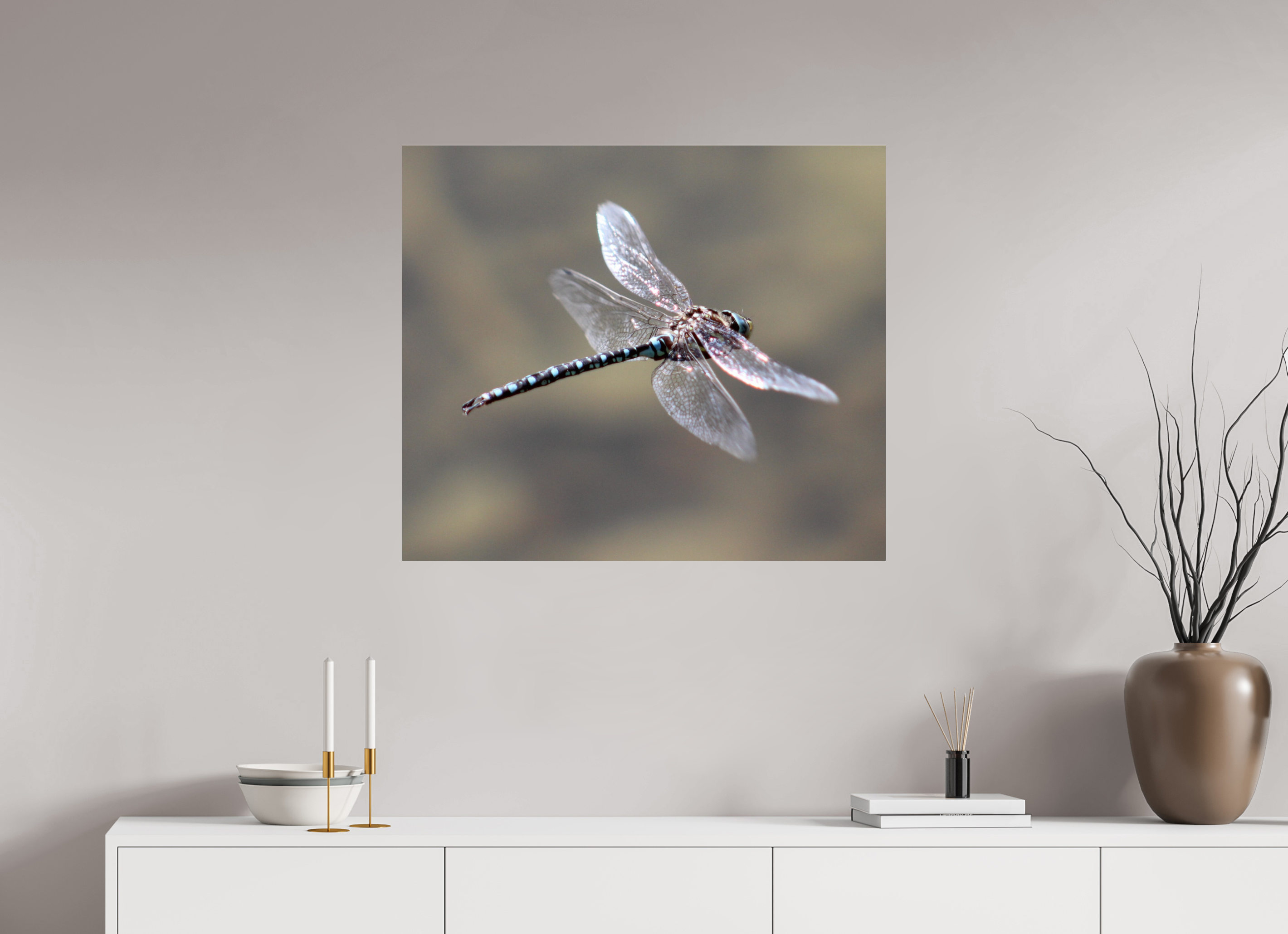32.6 x 28″, Photo Print Under Acrylic Glass Suspended: Blue Dragonfly in Flight
