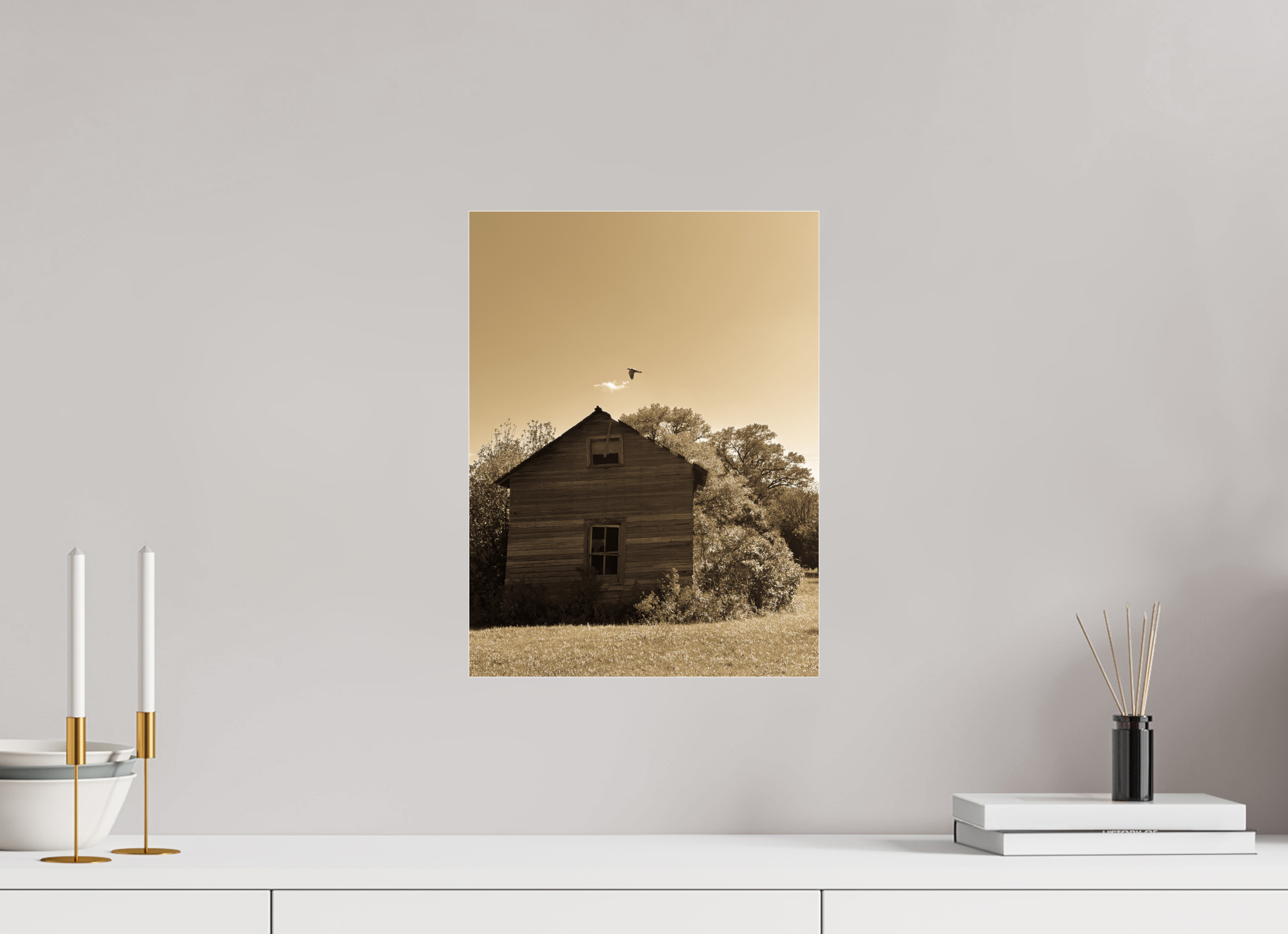 12 x 16″, Photo Print Under Acrylic Glass Taking Flight: Abandoned Homestead with Bird Fine Art Print