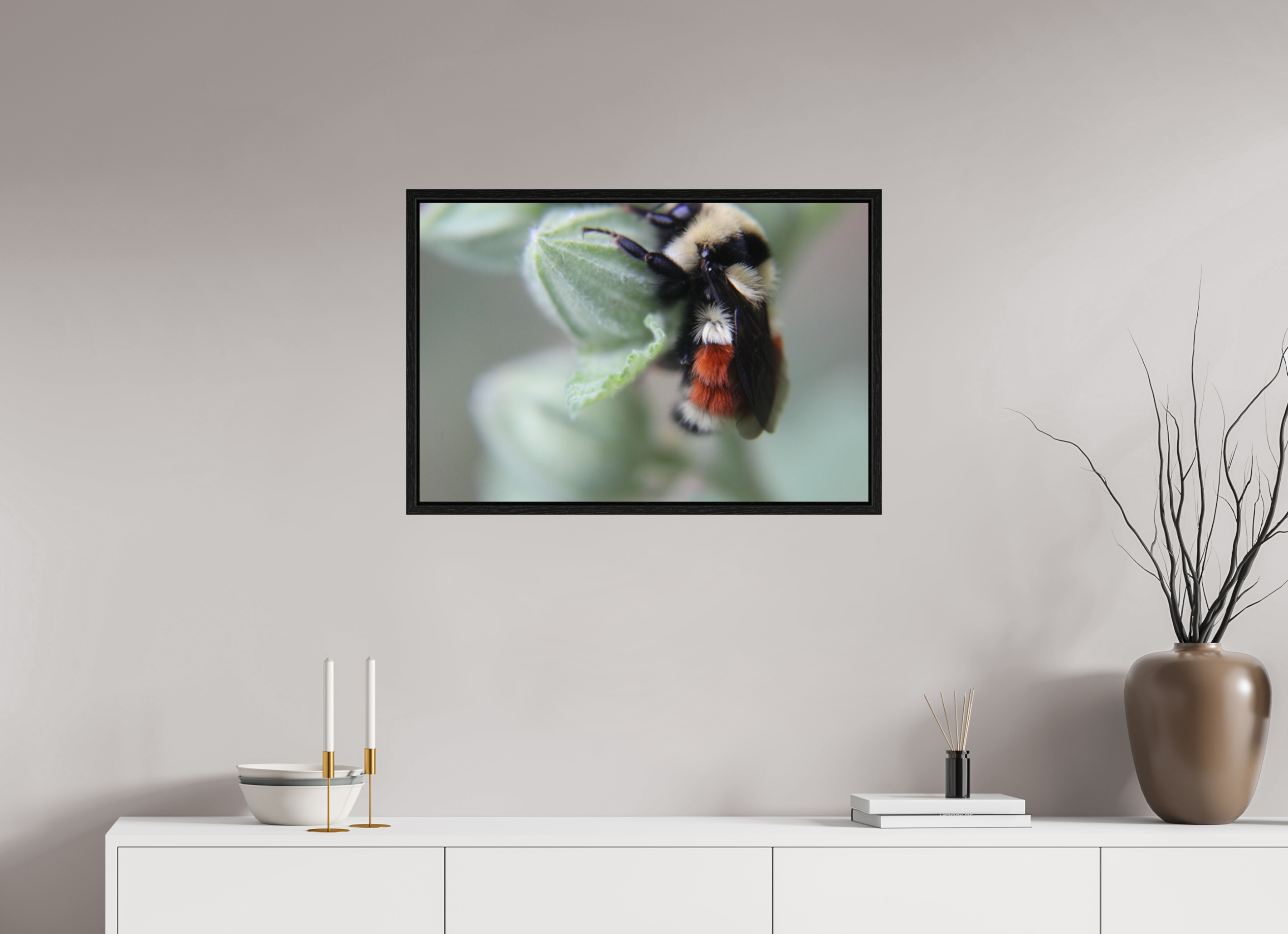 30 x 20″, Floater Frame The Busy One: Bumblebee Macro Fine Art Print