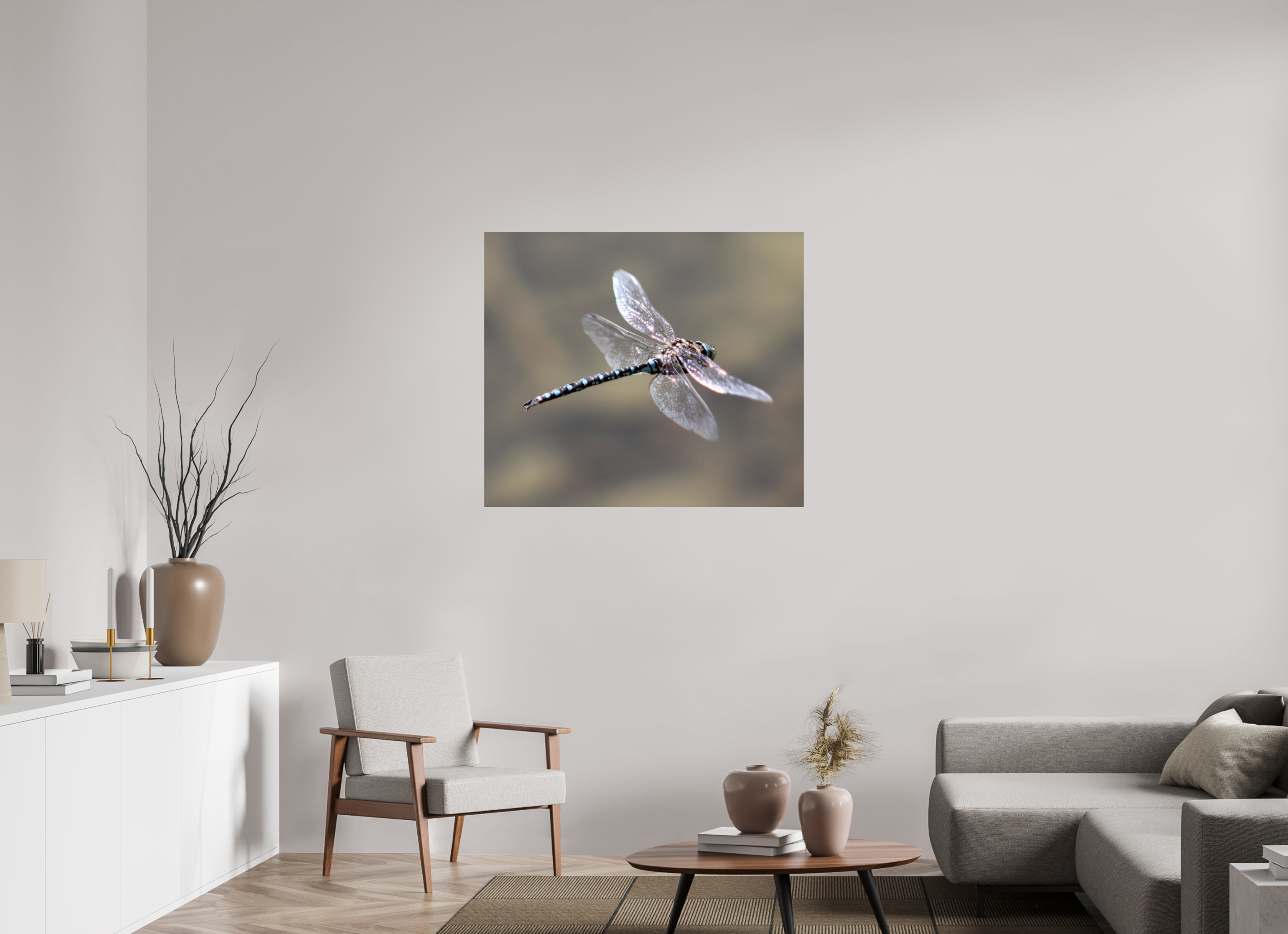 40.7 x 35″, Photo Print Under Acrylic Glass Suspended: Blue Dragonfly in Flight