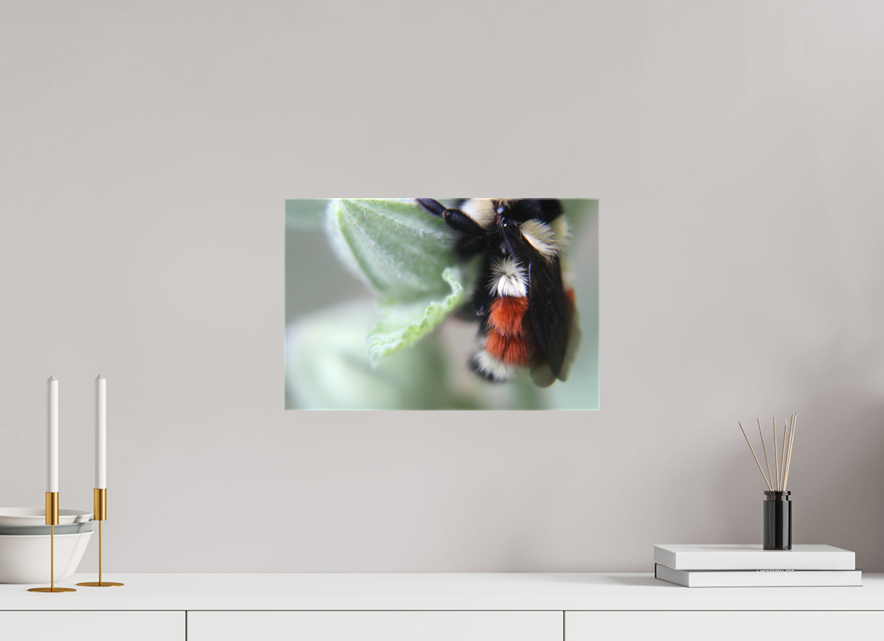 15 x 10″, Gloss Canvas The Busy One: Bumblebee Macro Fine Art Print