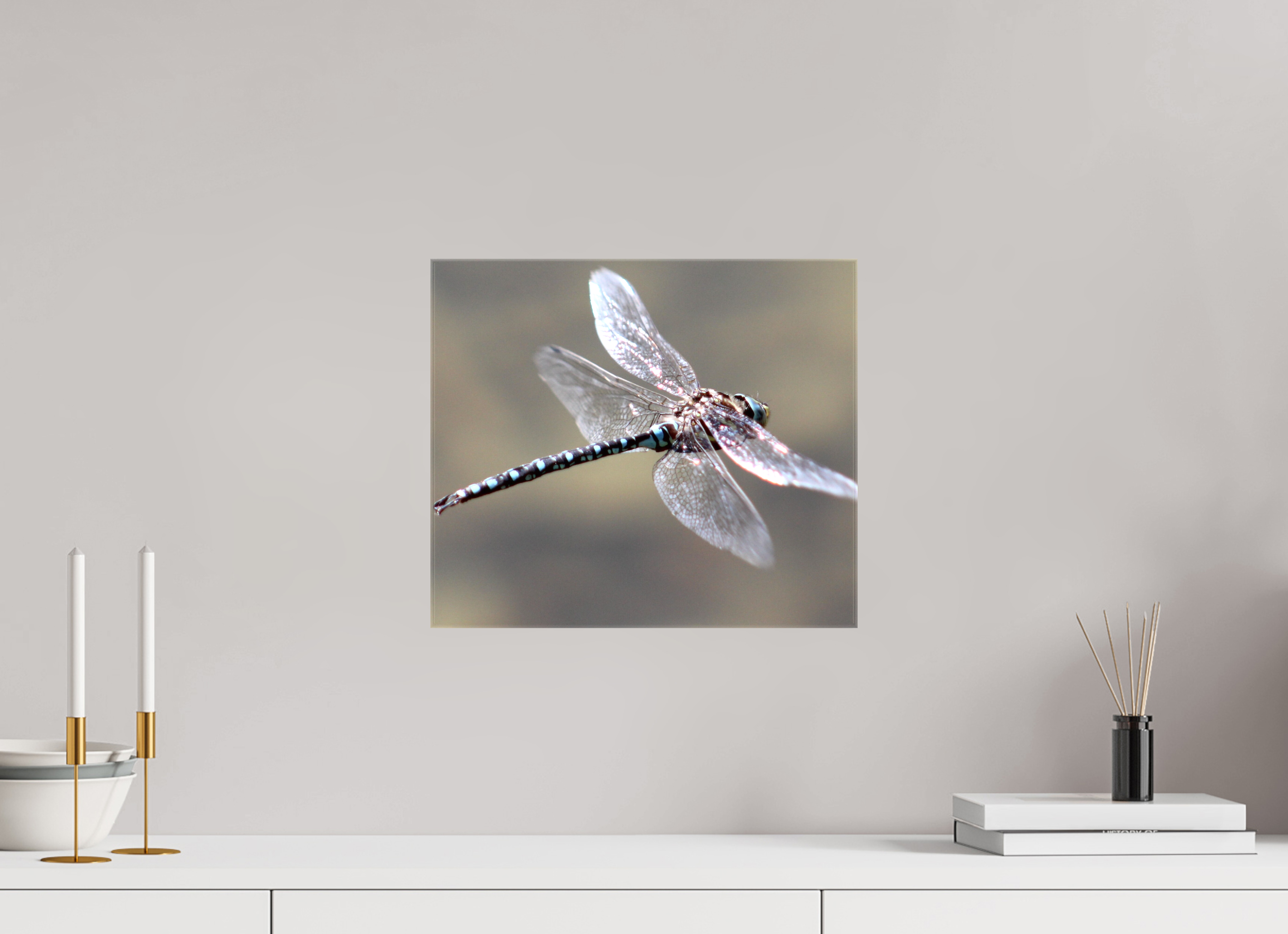 13.9 x 12″, Gloss Canvas Suspended: Blue Dragonfly in Flight