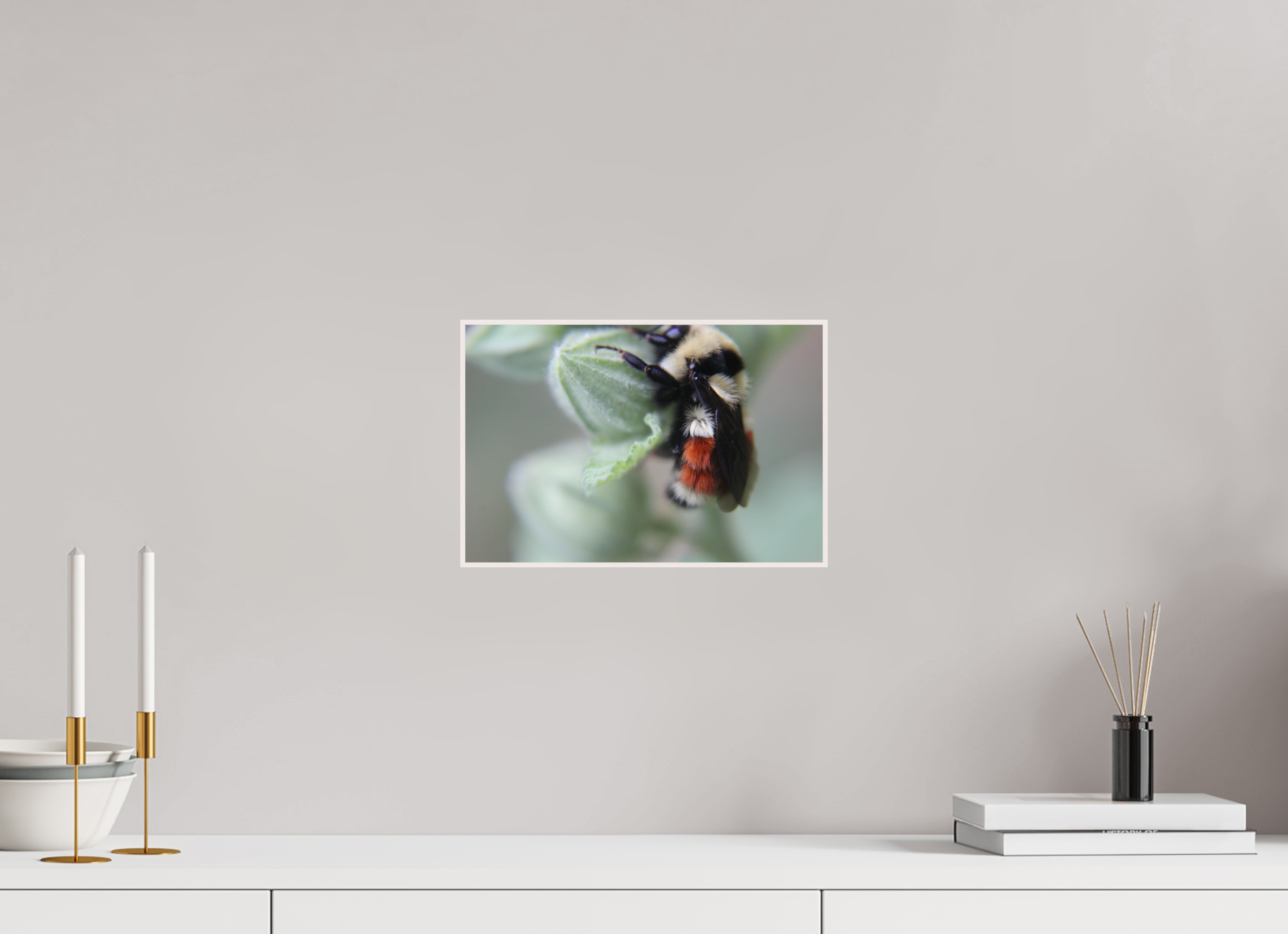 12 x 8″, Wood ArtBox with Acrylic The Busy One: Bumblebee Macro Fine Art Print