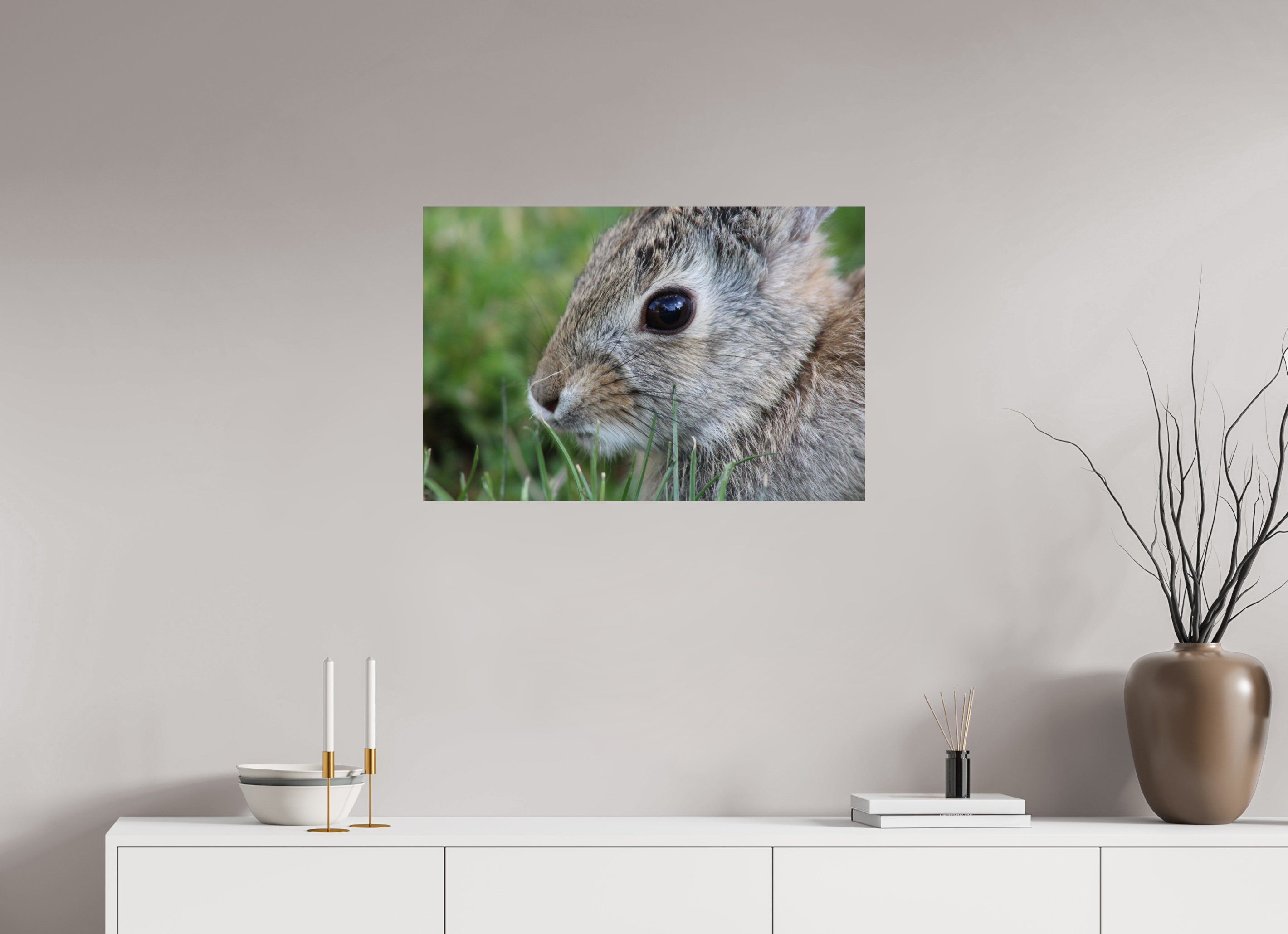 30 x 20″, Photo Print On Fuji Crystal DP II Eye to Eye: Cottontail Rabbit Portrait