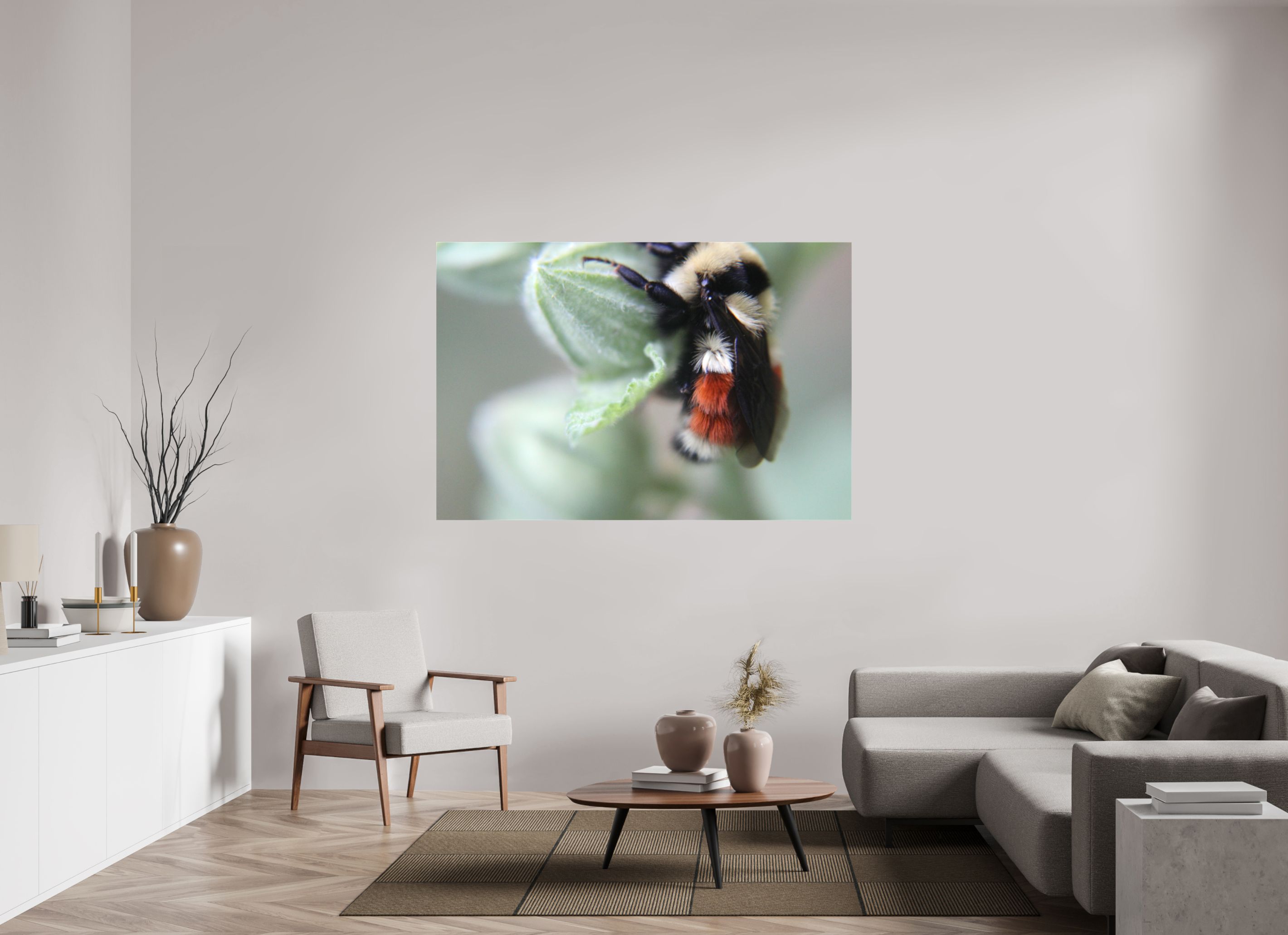 66 x 44″, Gloss Canvas The Busy One: Bumblebee Macro Fine Art Print