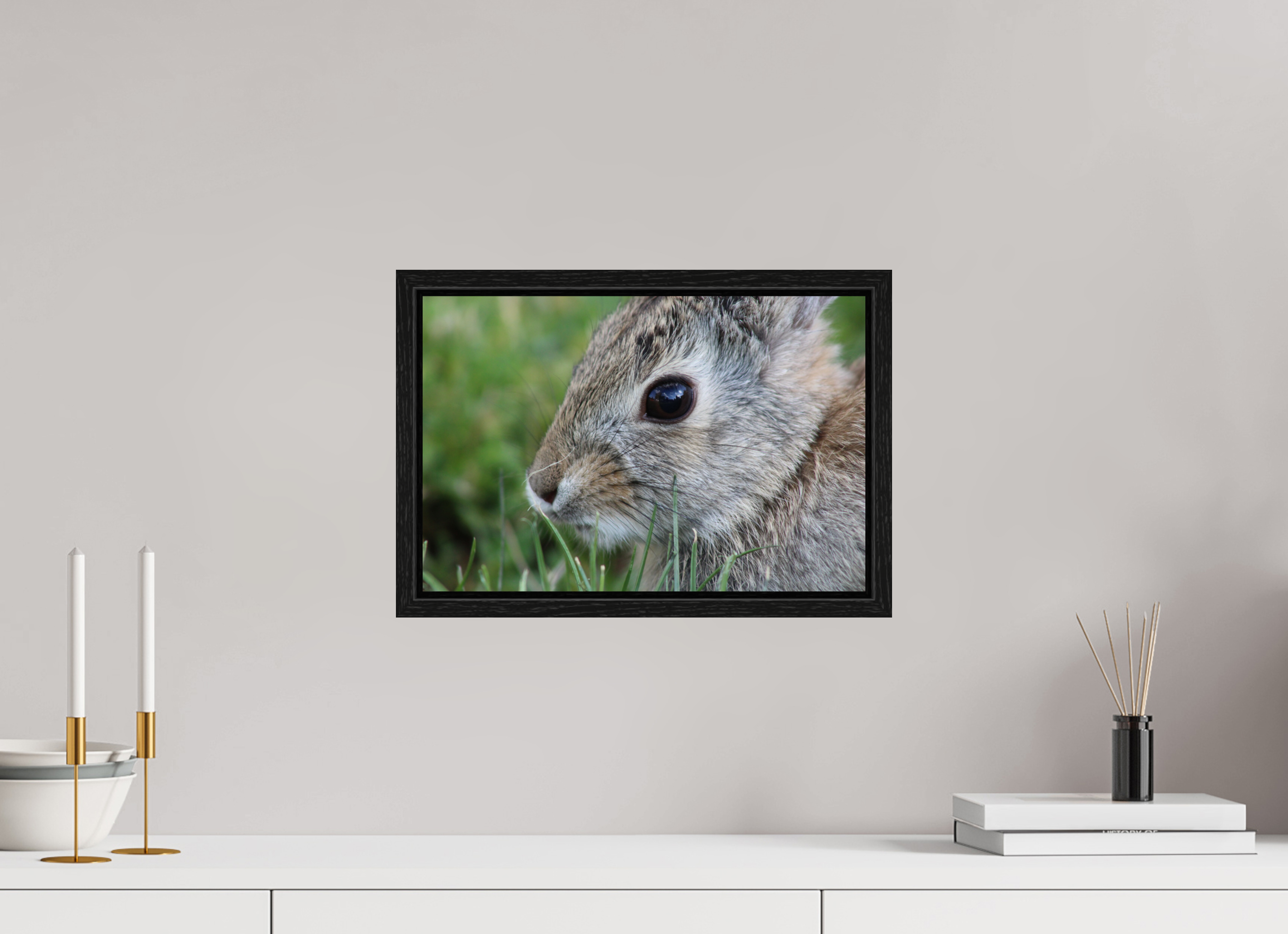 15 x 10″, Floater Frame Eye to Eye: Cottontail Rabbit Portrait