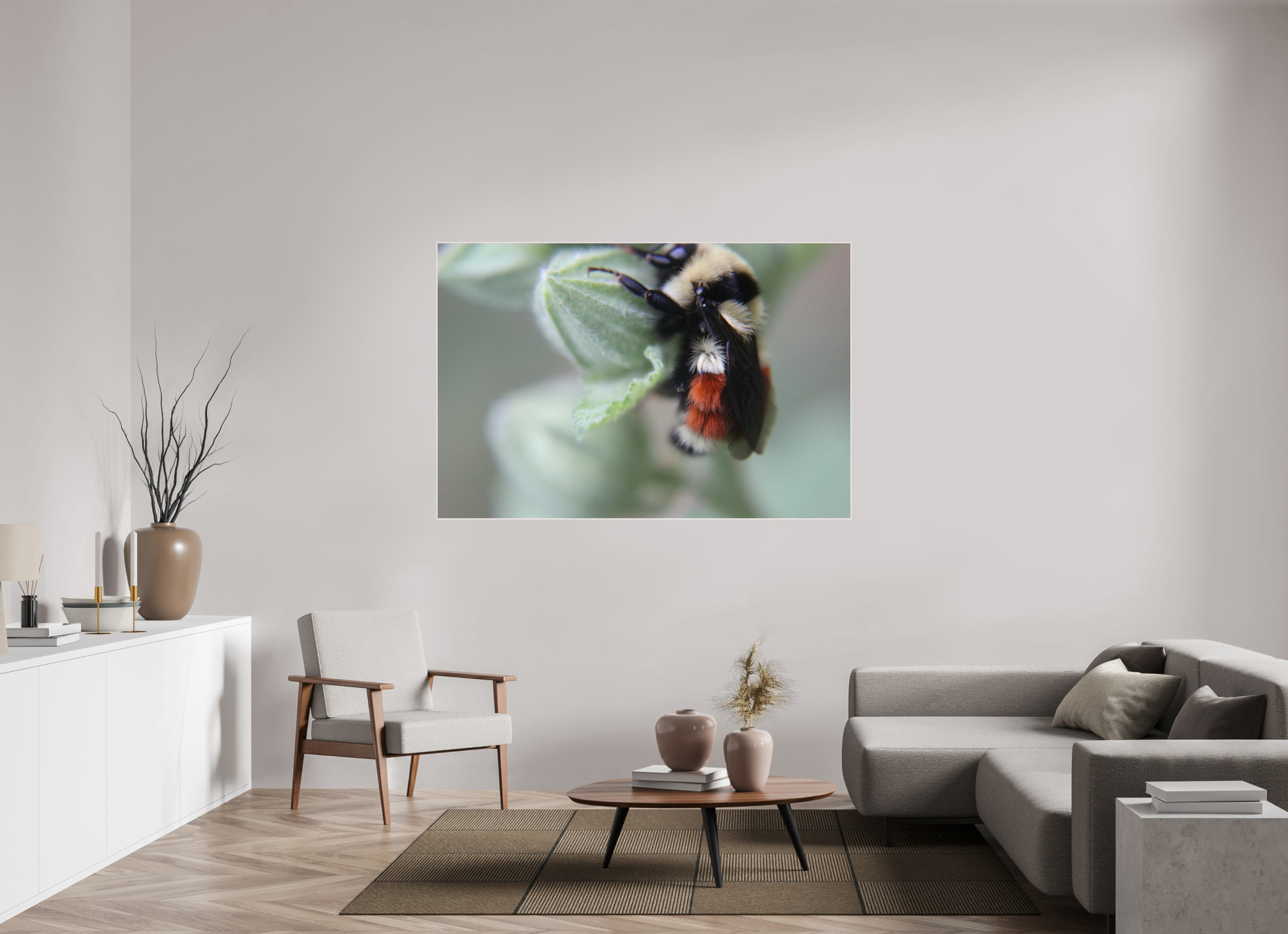 66 x 44″, Wood ArtBox with Acrylic The Busy One: Bumblebee Macro Fine Art Print