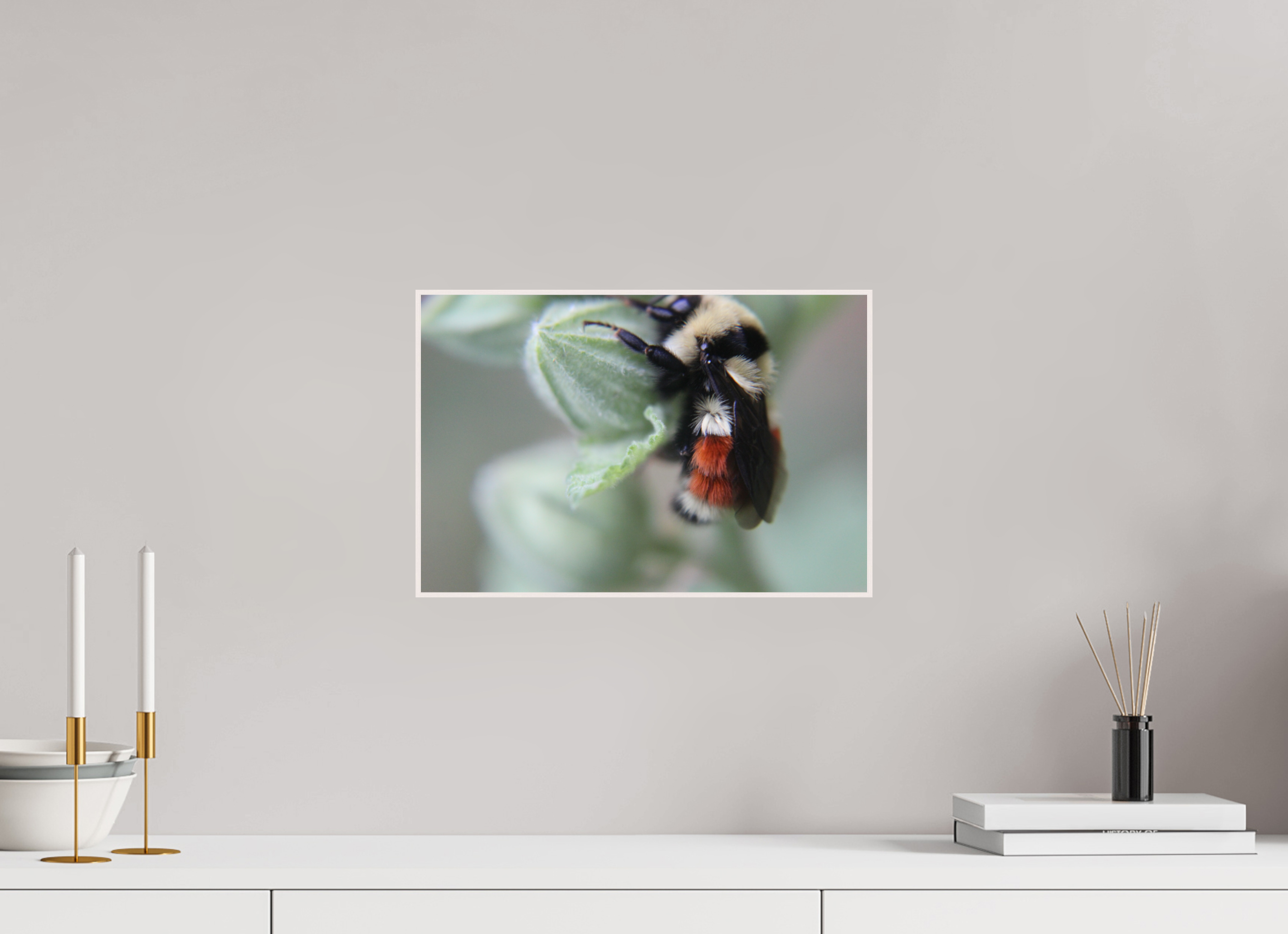 15 x 10″, Wood ArtBox with Acrylic The Busy One: Bumblebee Macro Fine Art Print