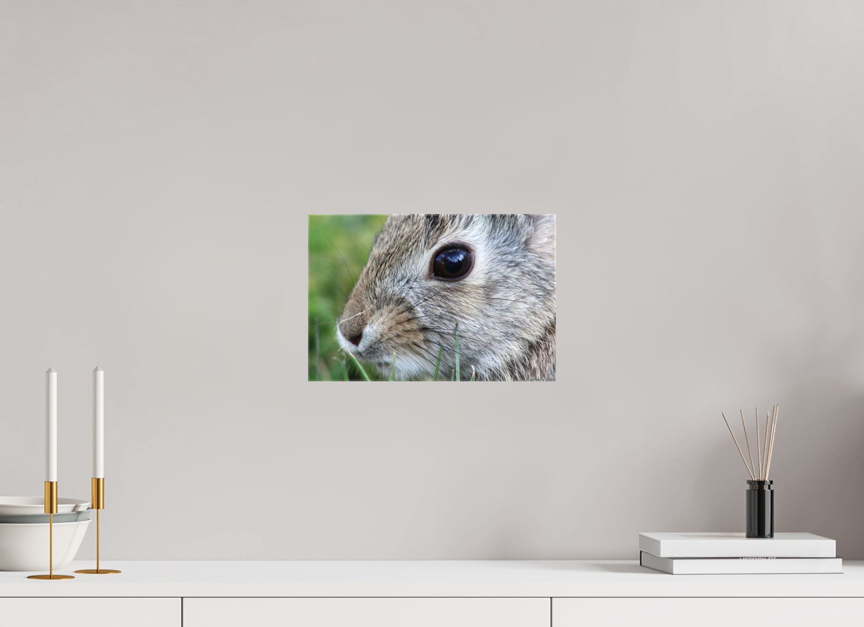 12 x 8″, Gloss Canvas Eye to Eye: Cottontail Rabbit Portrait