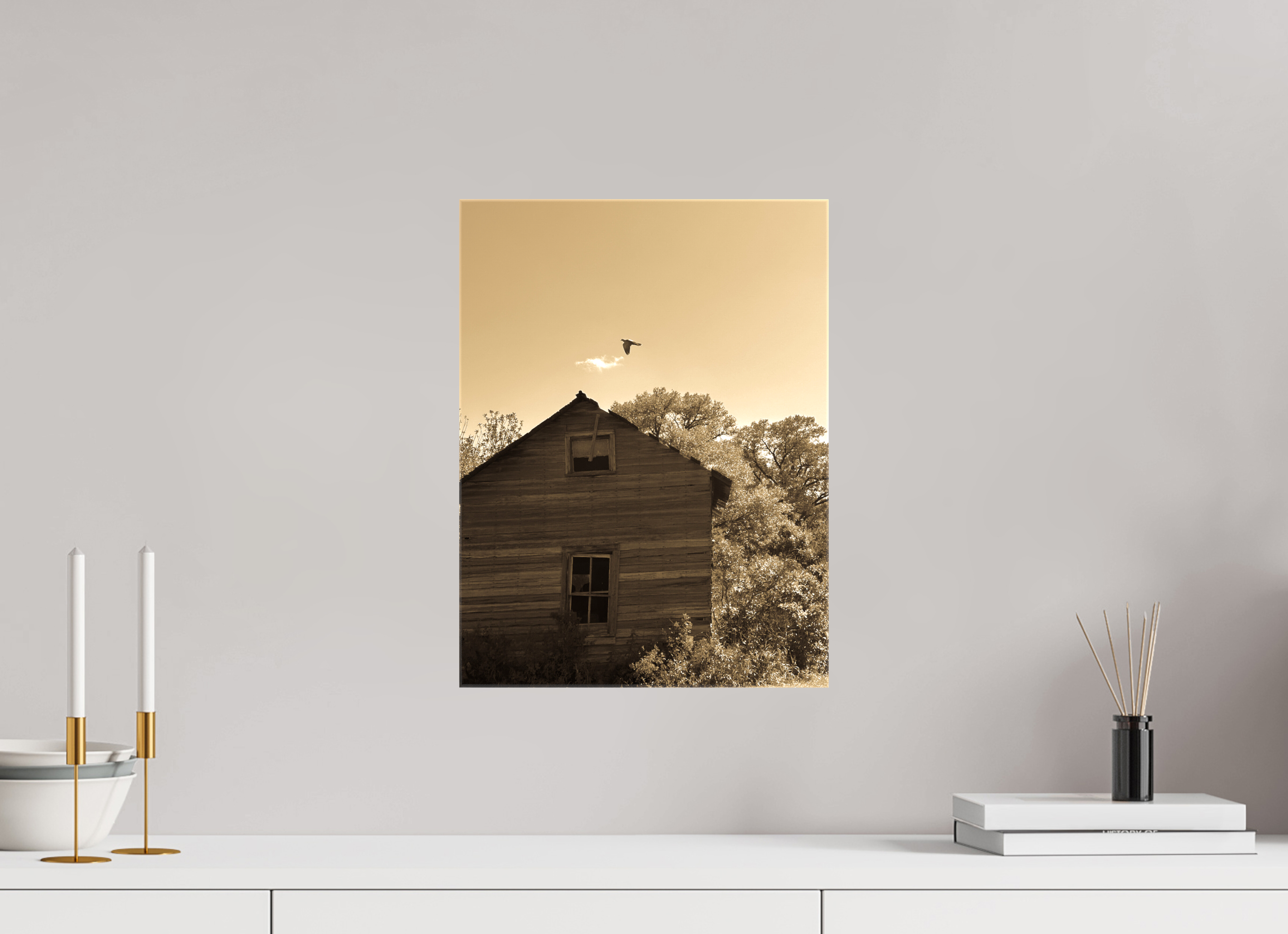 12 x 16″, Gloss Canvas Taking Flight: Abandoned Homestead with Bird Fine Art Print