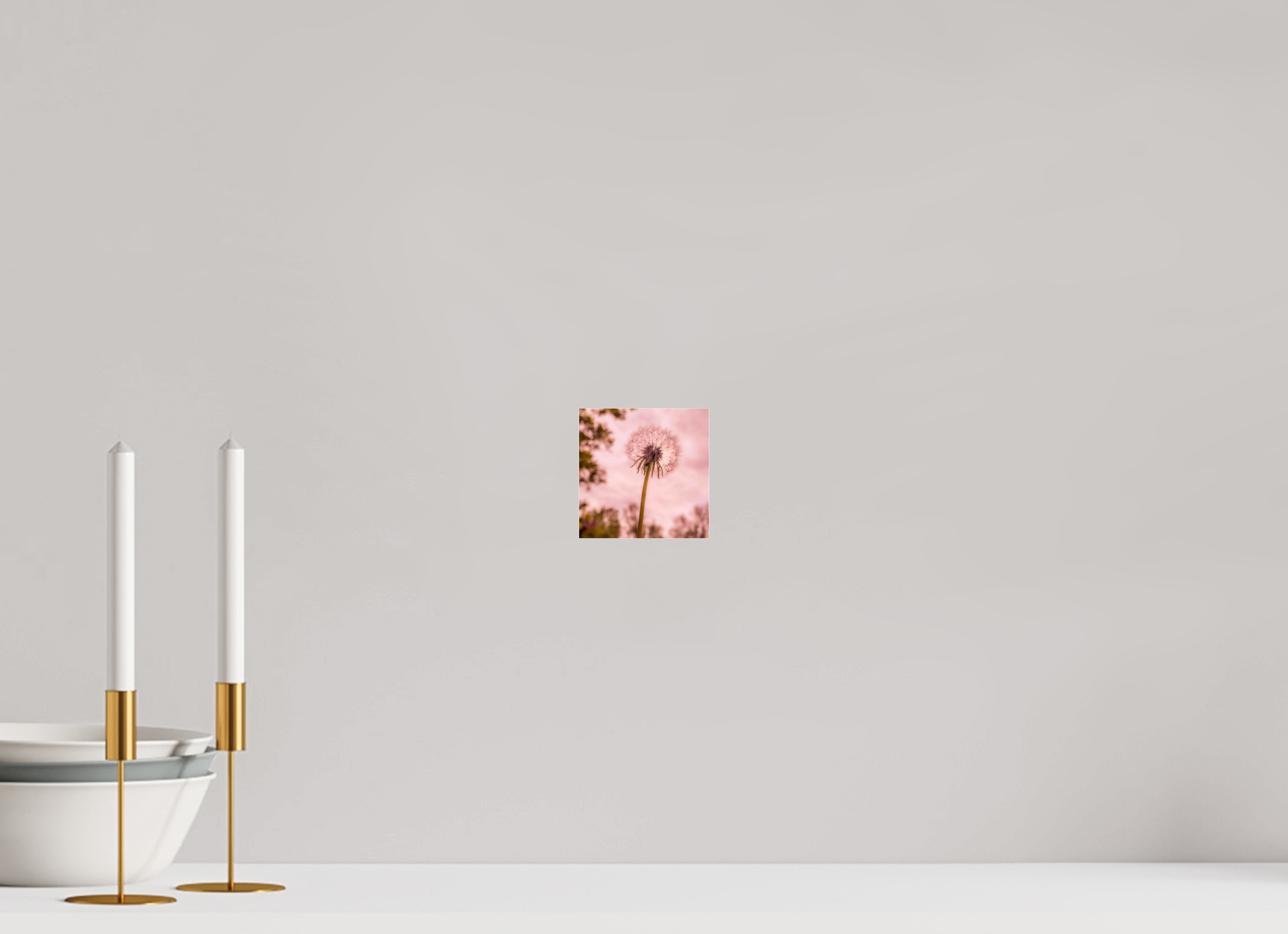 4 x 4″, Photo Print Under Acrylic Glass Make a Wish: Dandelion at Dusk