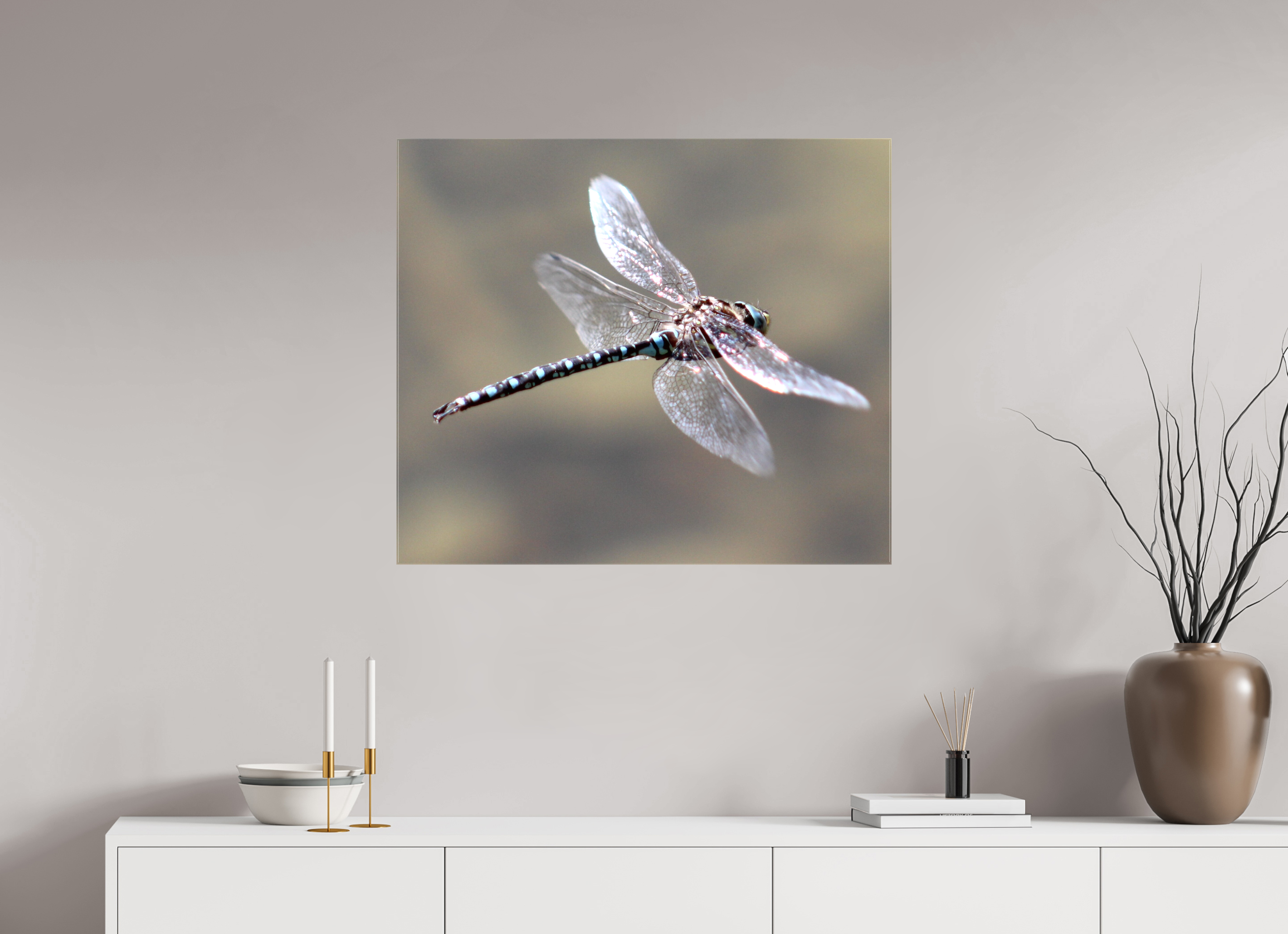 32.6 x 28″, Gloss Canvas Suspended: Blue Dragonfly in Flight