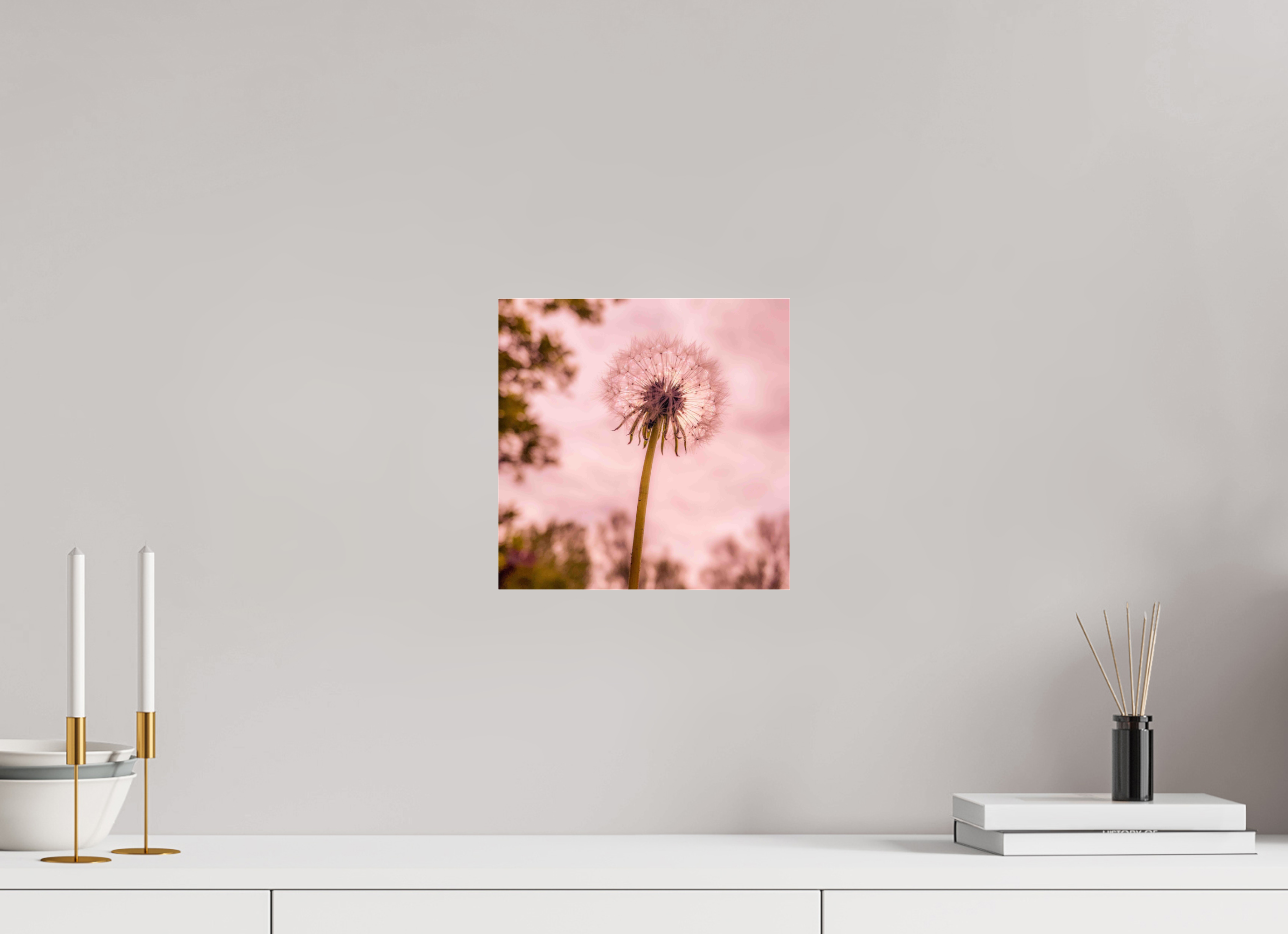 10 x 10″, Photo Print Under Acrylic Glass Make a Wish: Dandelion at Dusk