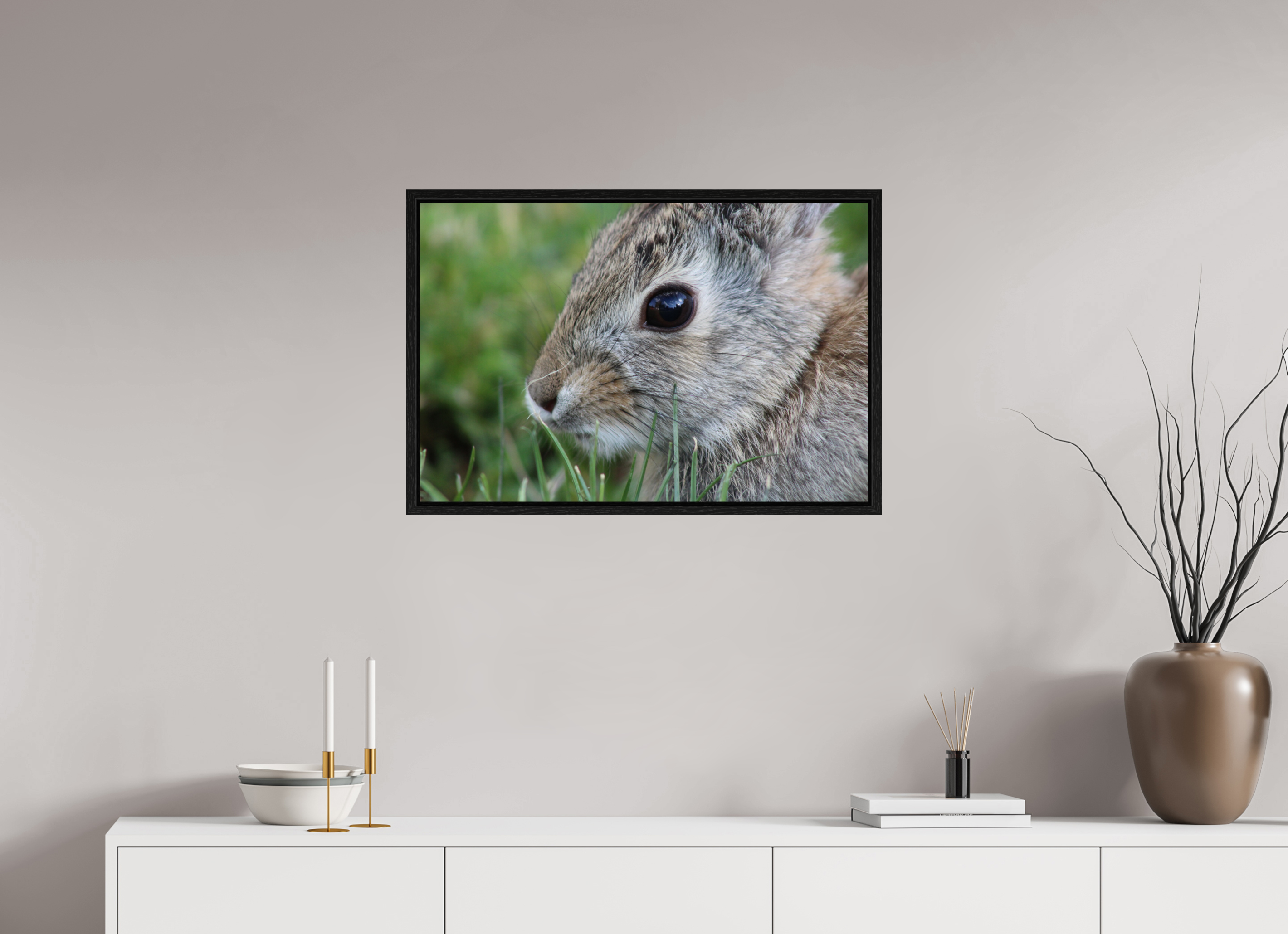 30 x 20″, Floater Frame Eye to Eye: Cottontail Rabbit Portrait