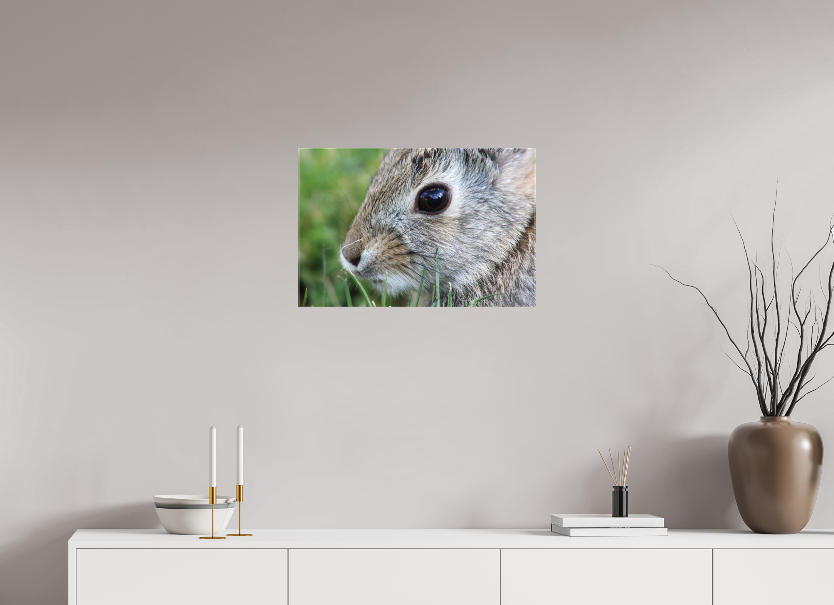 24 x 16″, Gloss Canvas Eye to Eye: Cottontail Rabbit Portrait