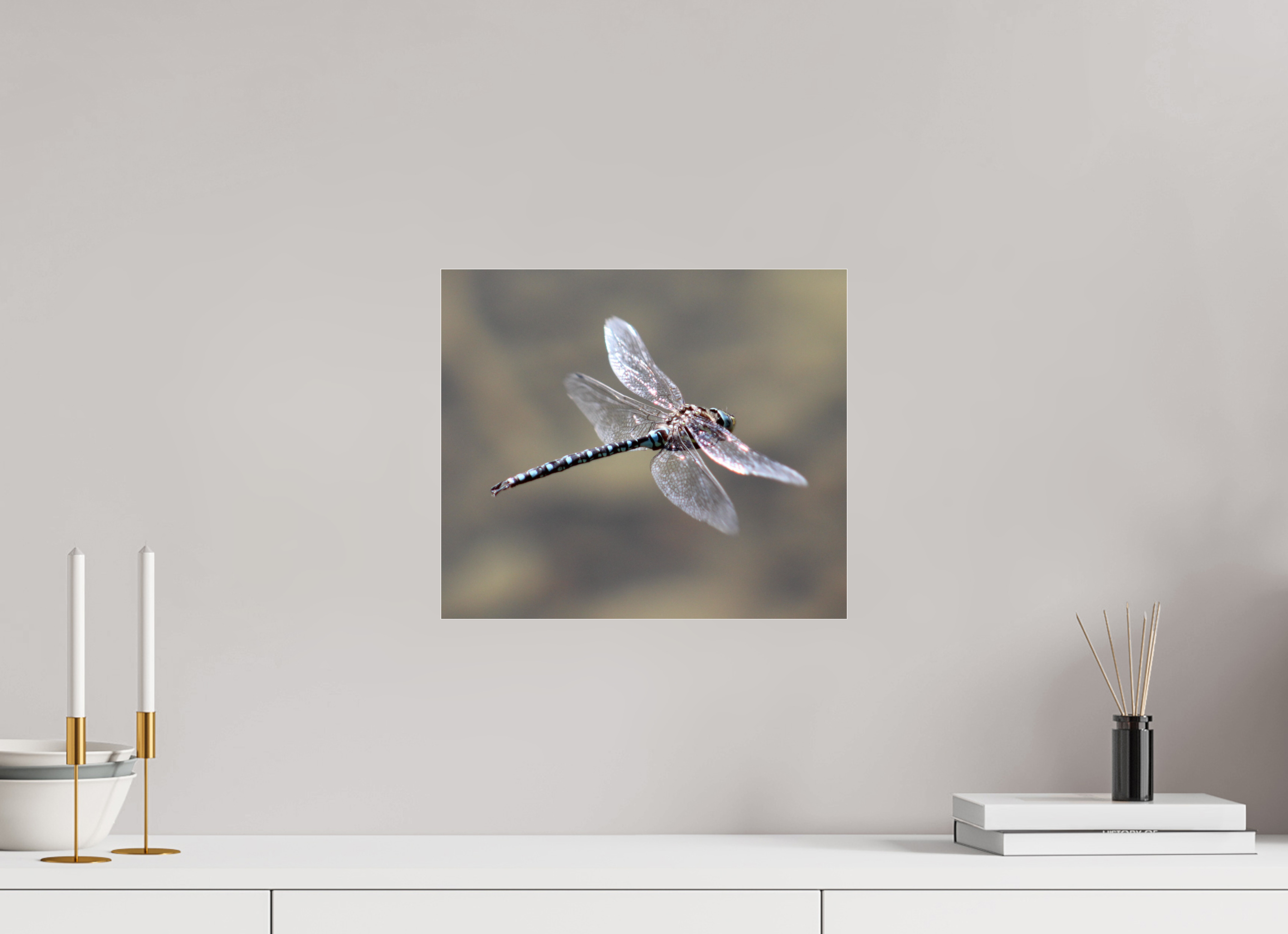 13.9 x 12″, Photo Print Under Acrylic Glass Suspended: Blue Dragonfly in Flight